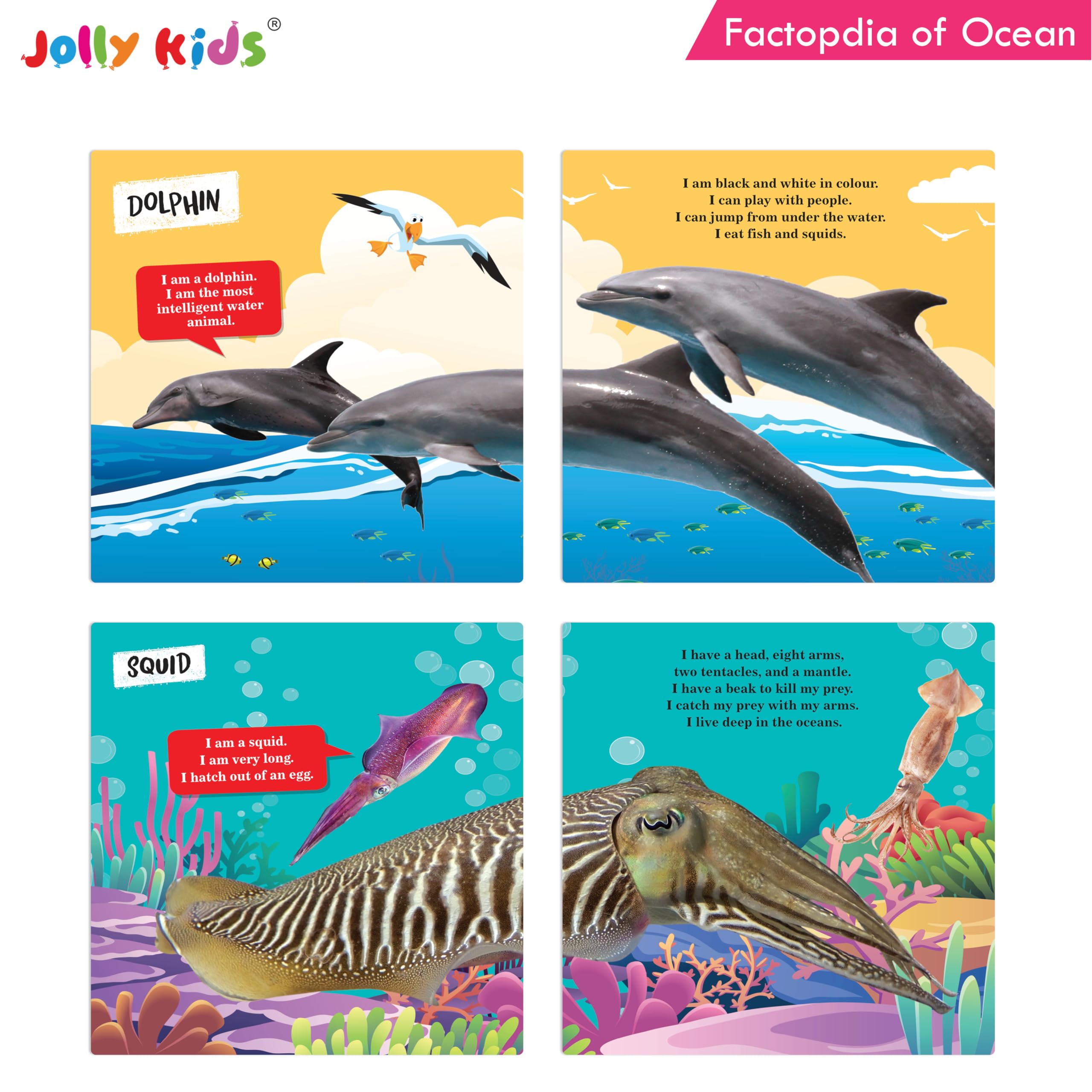 Jolly Kids Factopedia: Oceans And Dinosaurs Books Set of 2 For Young Readers Aged 3-8 Years| Learn About Whales, Sharks, Fossils, Spinosaurus And More! 1
