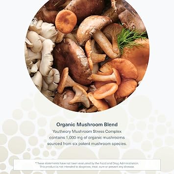 Youtheory Mushroom Immune Complex - 60 Vegan Capsules (30 Day Supply) - Immune Support Supplement* - Organic Mushroom Blend with Chaga, Cordyceps, Lion's Mane, Maitake & More