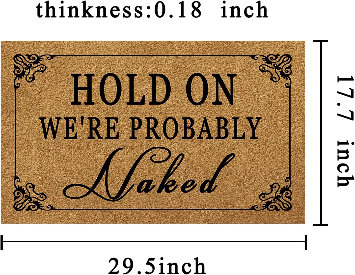 FunXiLin Funny Welcome Door Mats for Home Decor (17.7 x 29.5 inch) Gift Mats with Anti-Slip Rubber Back Kitchen Rugs Personalized Doormat for Entrance Way (Hold On We're Probably Naked)