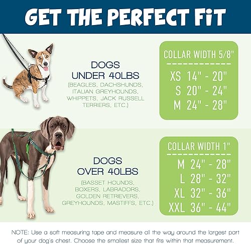 Miniatura 8 de 2 Hounds Design Freedom - Arnés para perro sin tirones, arnés ajustable, fácil de caminar y control cómodo, se adapta a perros pequeños, medianos