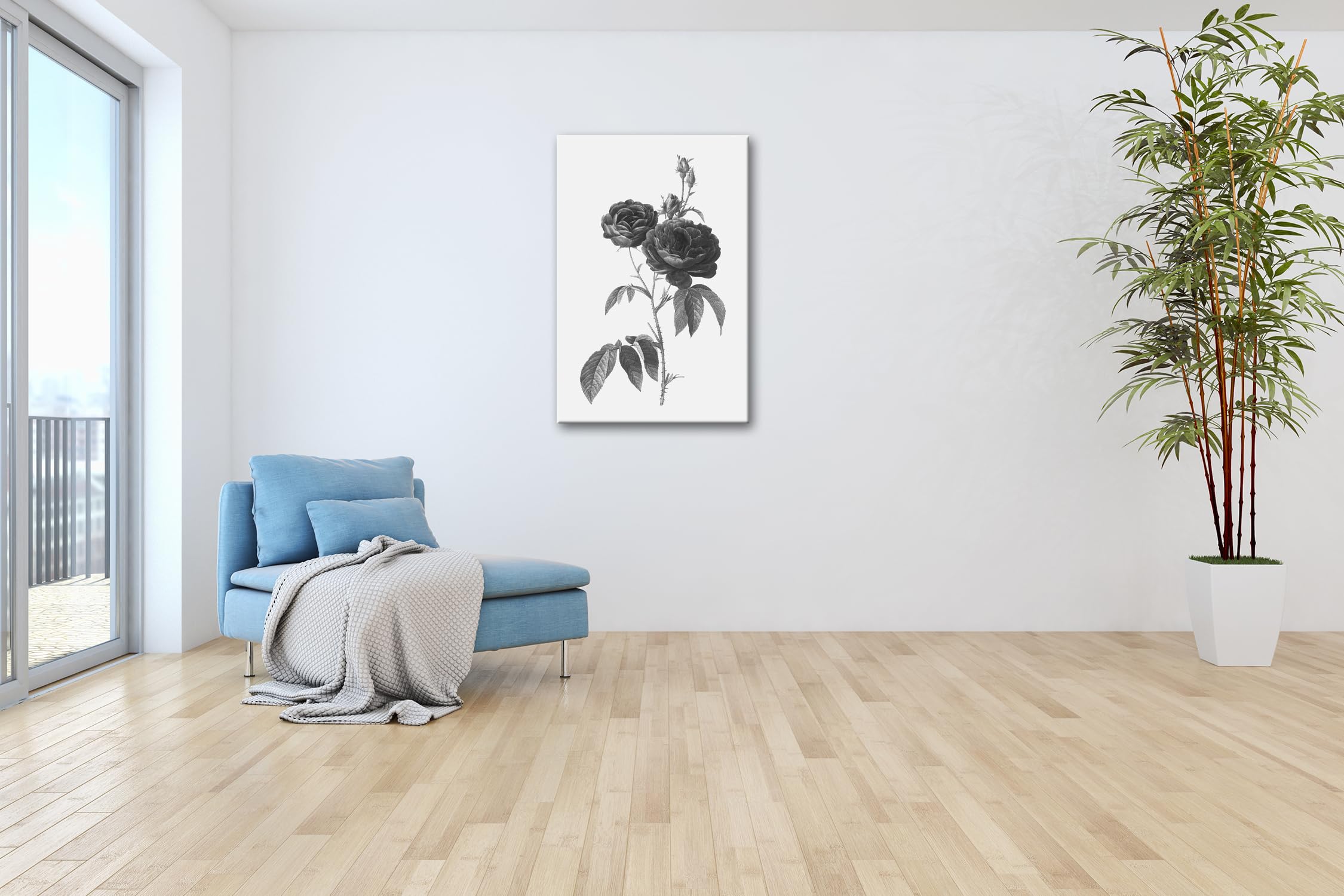 deyoli Obraz na płótnie delikatne płatki róż, klasycznie ilustrowane naturalnym pięknem format: 120 x 80 cm XXL druk artystyczny obraz na blejtramie/obraz ścienny/dekoracja salonu