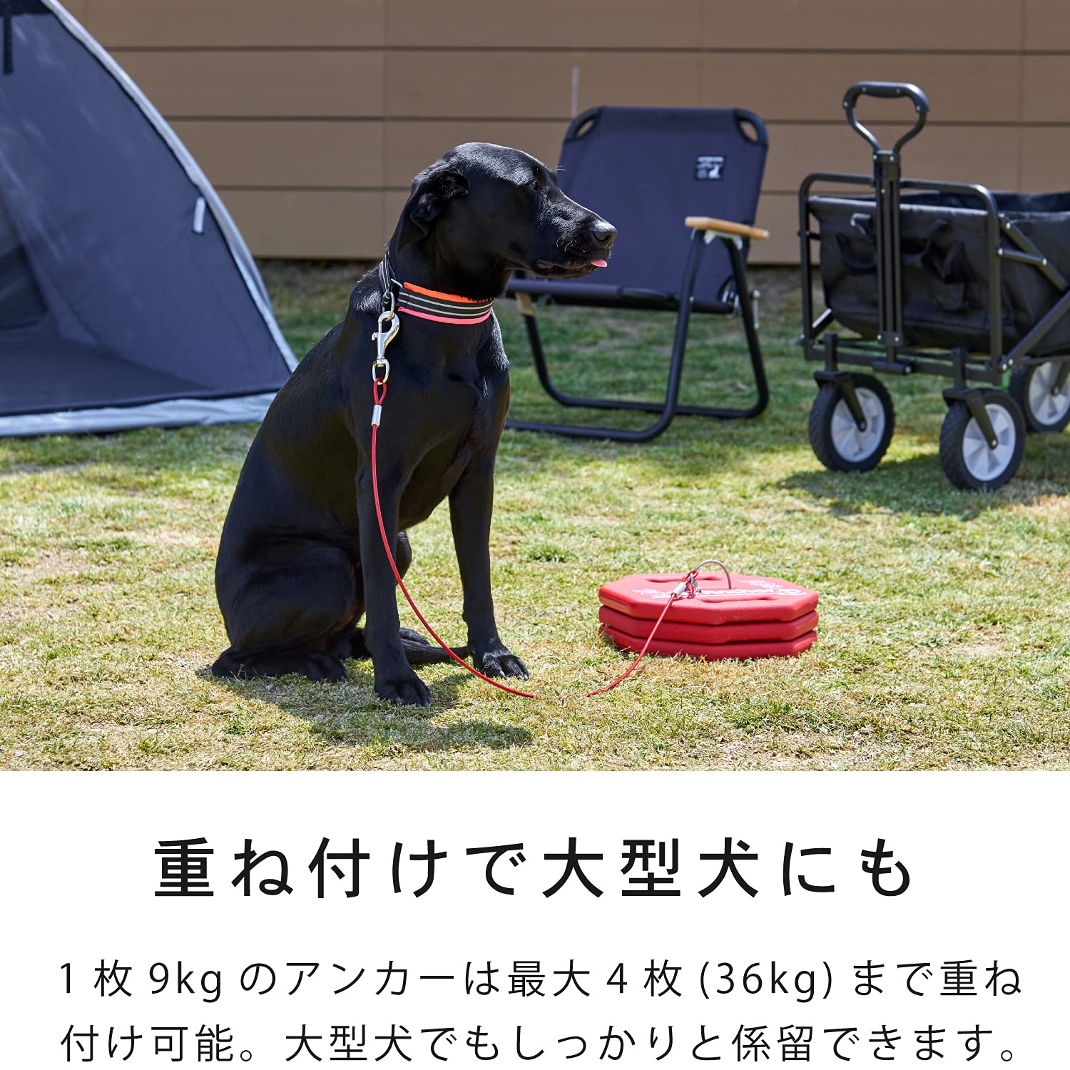 Amazon | 【OFT】 K9アンカー本体+90cmワイヤー 係留 おもり 9kg 置き