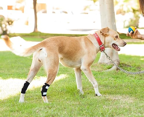 Miniatura 5 de NeoAlly Soporte de tobillo para perros y gatos con correas reflectantes de seguridad para heridas en las piernas traseras, curar lesiones y