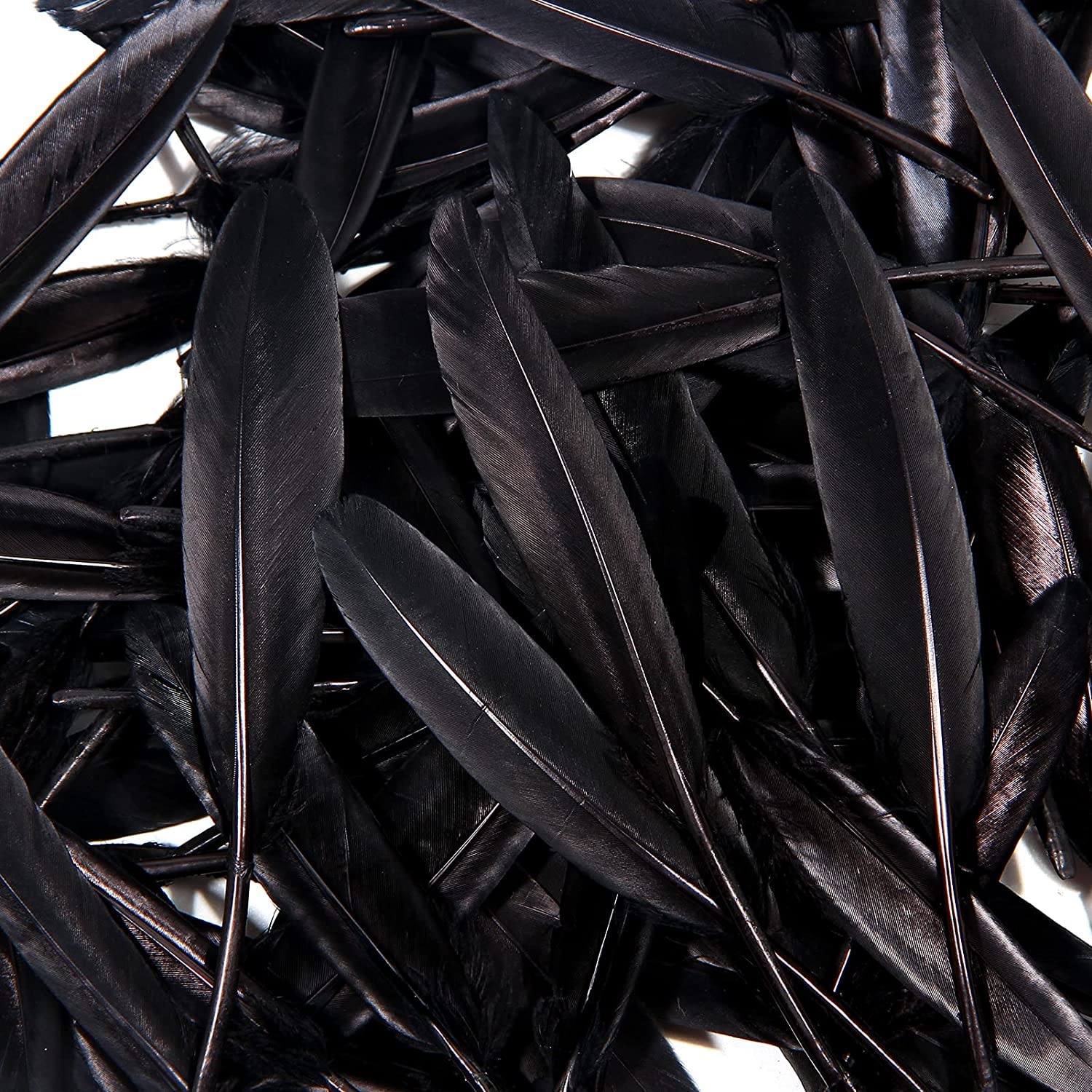 Tiptop Decoration Natural Dyed Premium Goose Feathers Quills (10 Pieces) (10-15 cm) (Raven Black) 2