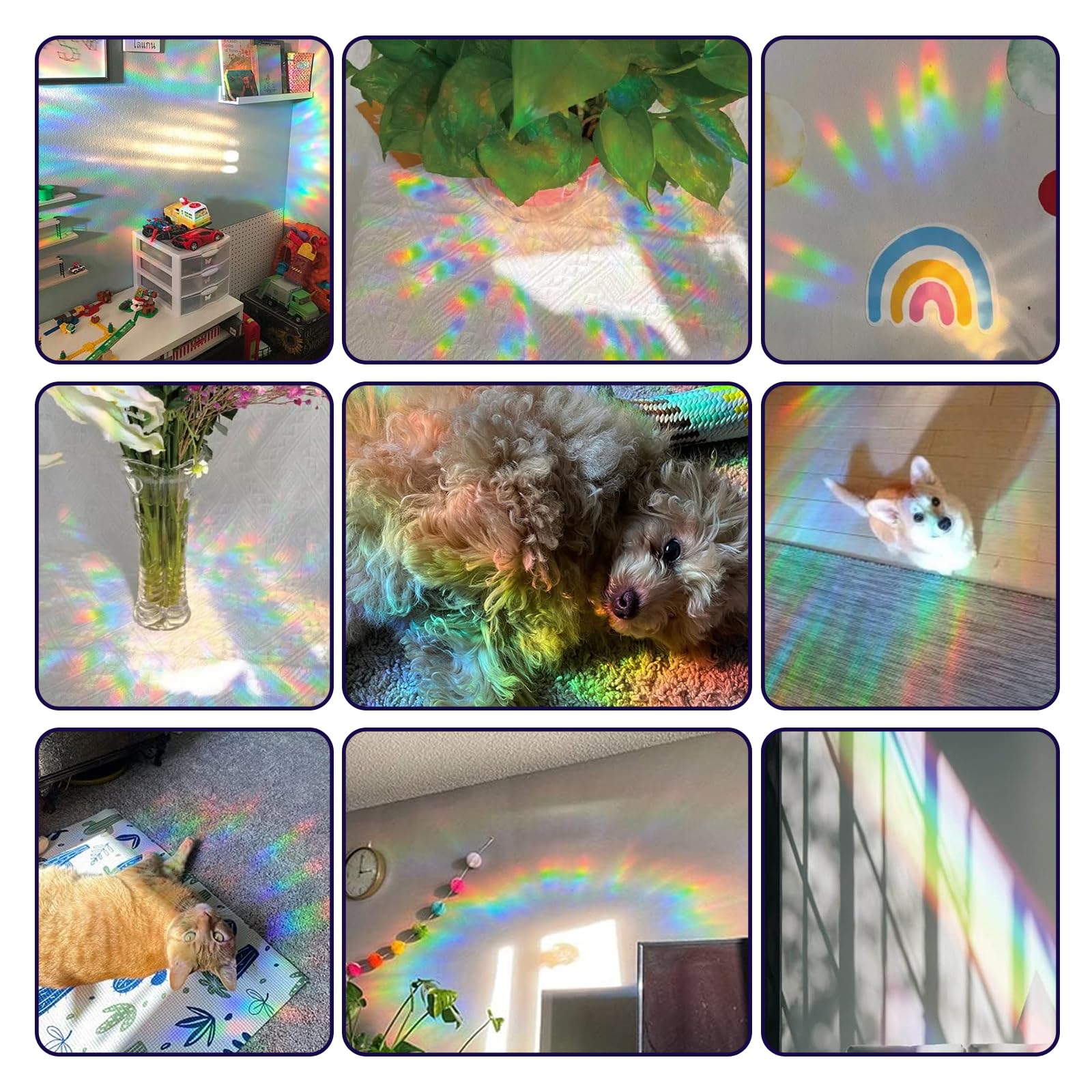 39 pièces suncatcher sticker – stickers fenetre avec effet prisme, film fenetre arc-en-ciel, stickers anti collision oiseaux, décoration de autocollants décoratifs pour portes et fenêtres.