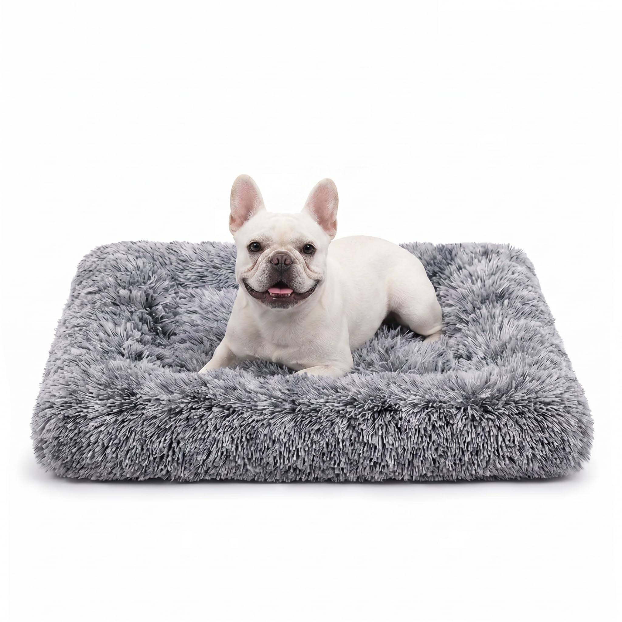 Jaspuriea Medium Dog Bed Washable, Dog Crate Mattress, Grey, 75x50x7cm 75 x 50 x 7 cm (L x W x H) Grey