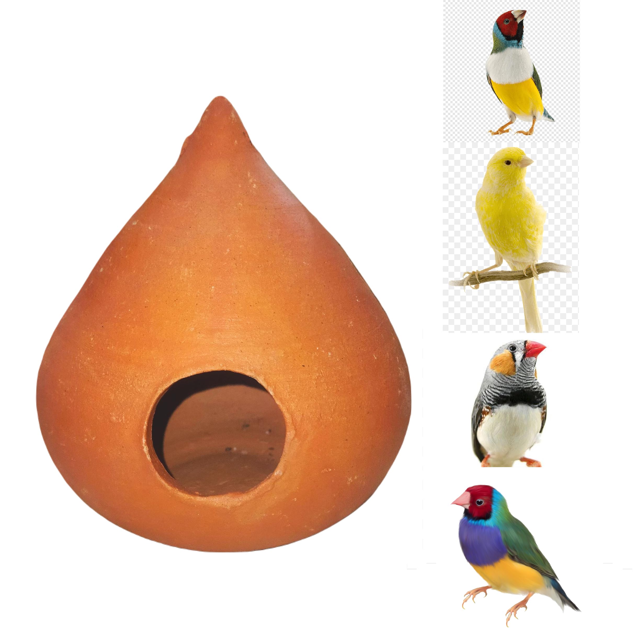See full amazon price history chart for ZENRISE® Terracotta Finches and Sparrow Cone Shape Bird House Pot for breeding and Resting (Indian Clay, Brown) - 12 cm ZENRISE® Terracotta Finches and Sparrow Cone Shape Bird House Pot for breeding and Resting (Indian Clay, Brown) - 12 cm (B08G8SR81N) Amazon Price History, Amazon Price Tracker