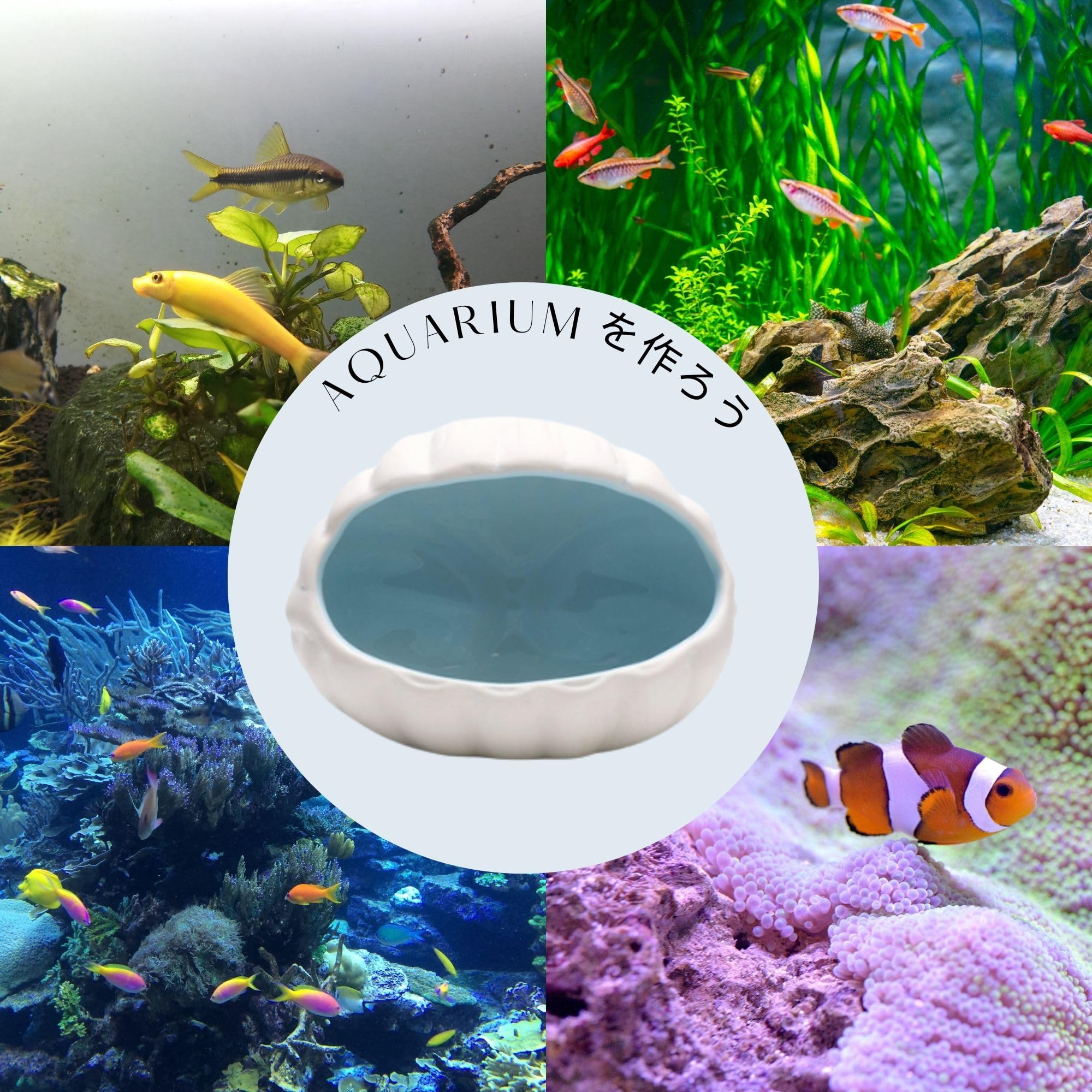 ウーパールーパー　シェルター Amazon | Pochumore ウーパールーパー 隠れ家 水槽 シェルター