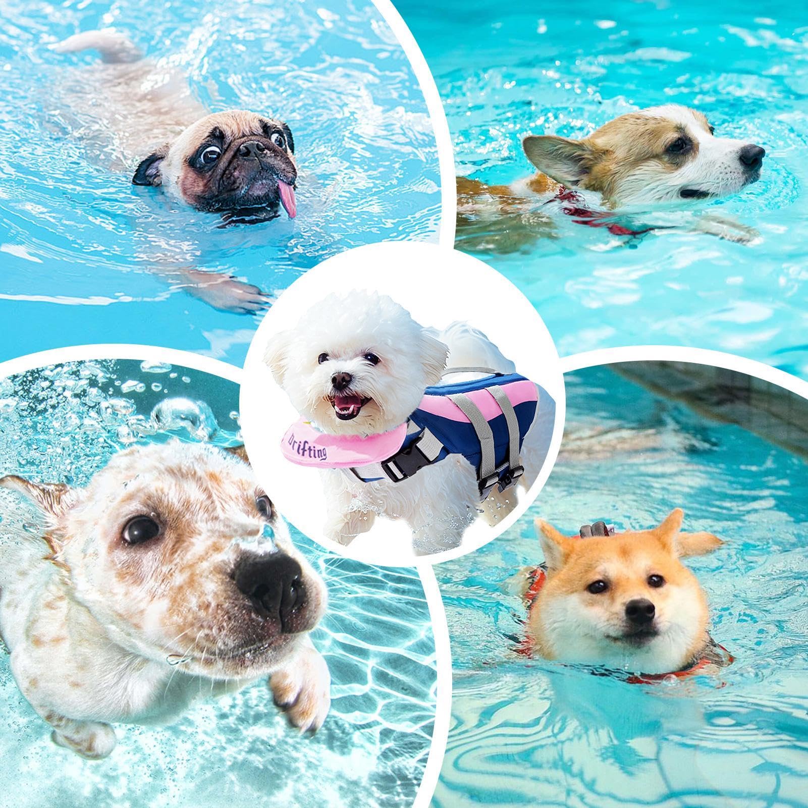 Gilet di galleggiamento per cani, regolabile, per cuccioli | Costume da bagno salvagente ad alto galleggiamento, con maniglia di salvataggio per cani, per piscina e spiaggia