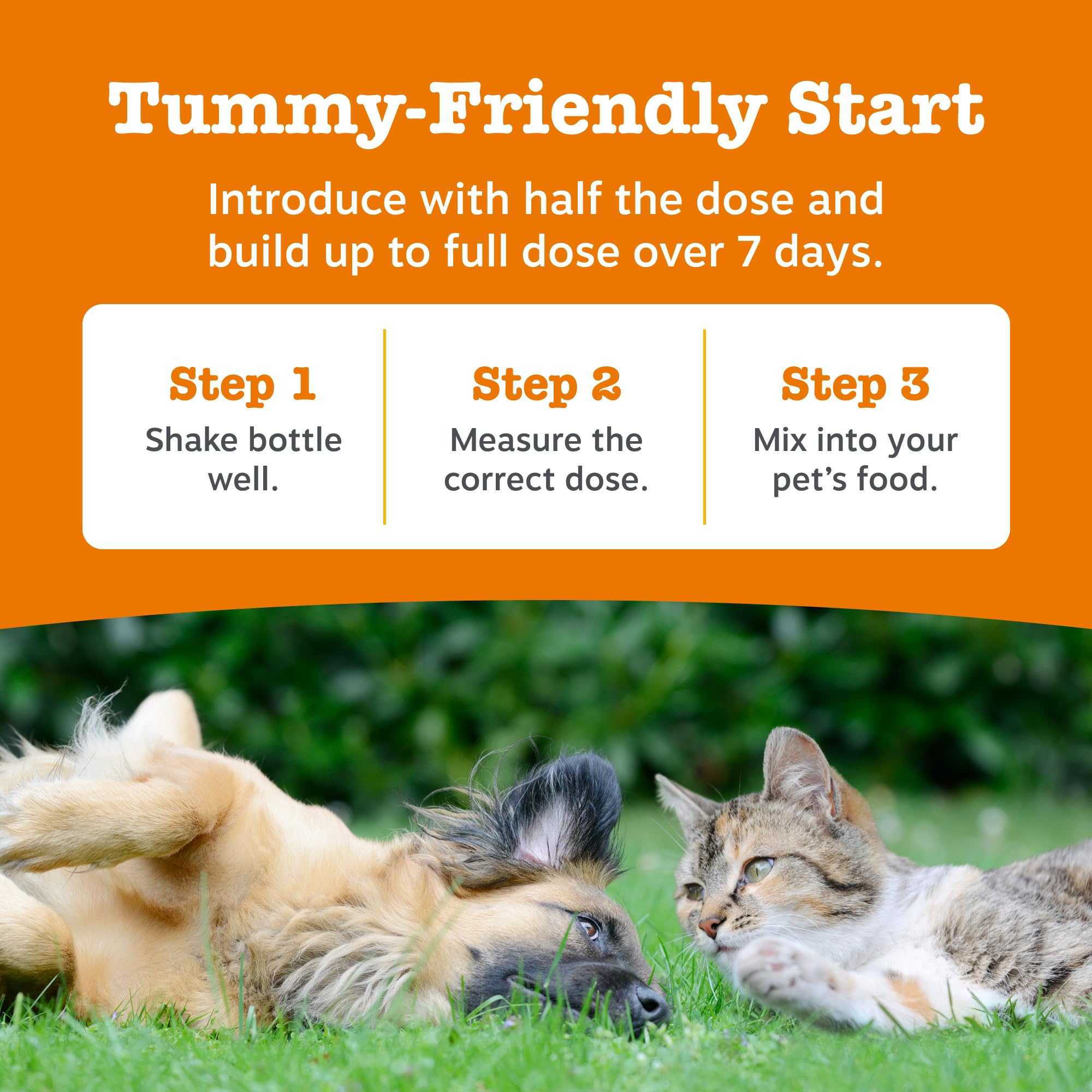 Zesty Paws Hip & Joint Salmon Oil | Joint Support for Active Pets | Omega 3 | Helps Maintain Healthy Joints | Salmon Oil for Dogs and Cats | 250ml