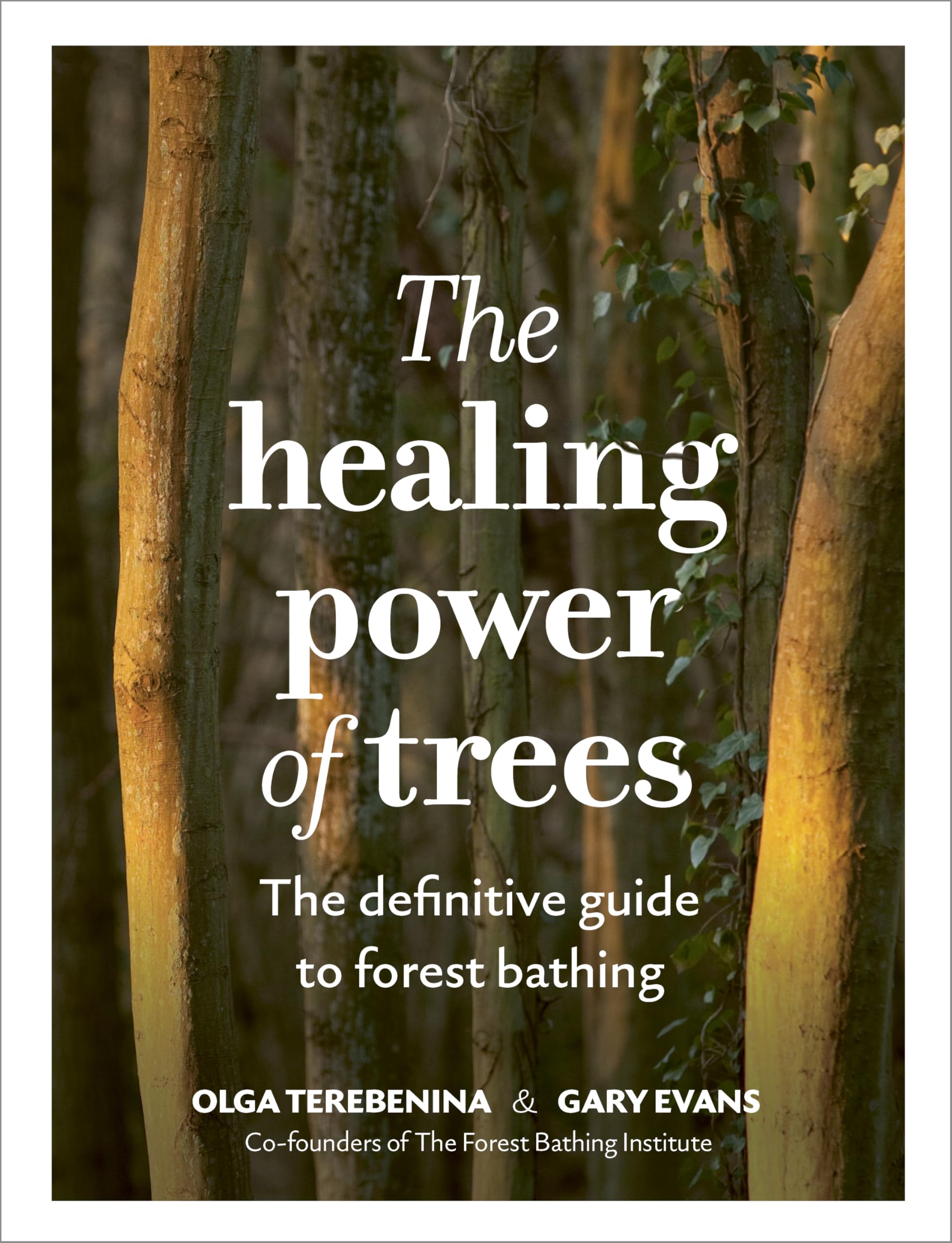 【中古】 The　Healing　Power　of　Forests The Healing Power of Forests: Miyawaki, Akira, Box, Elgene O