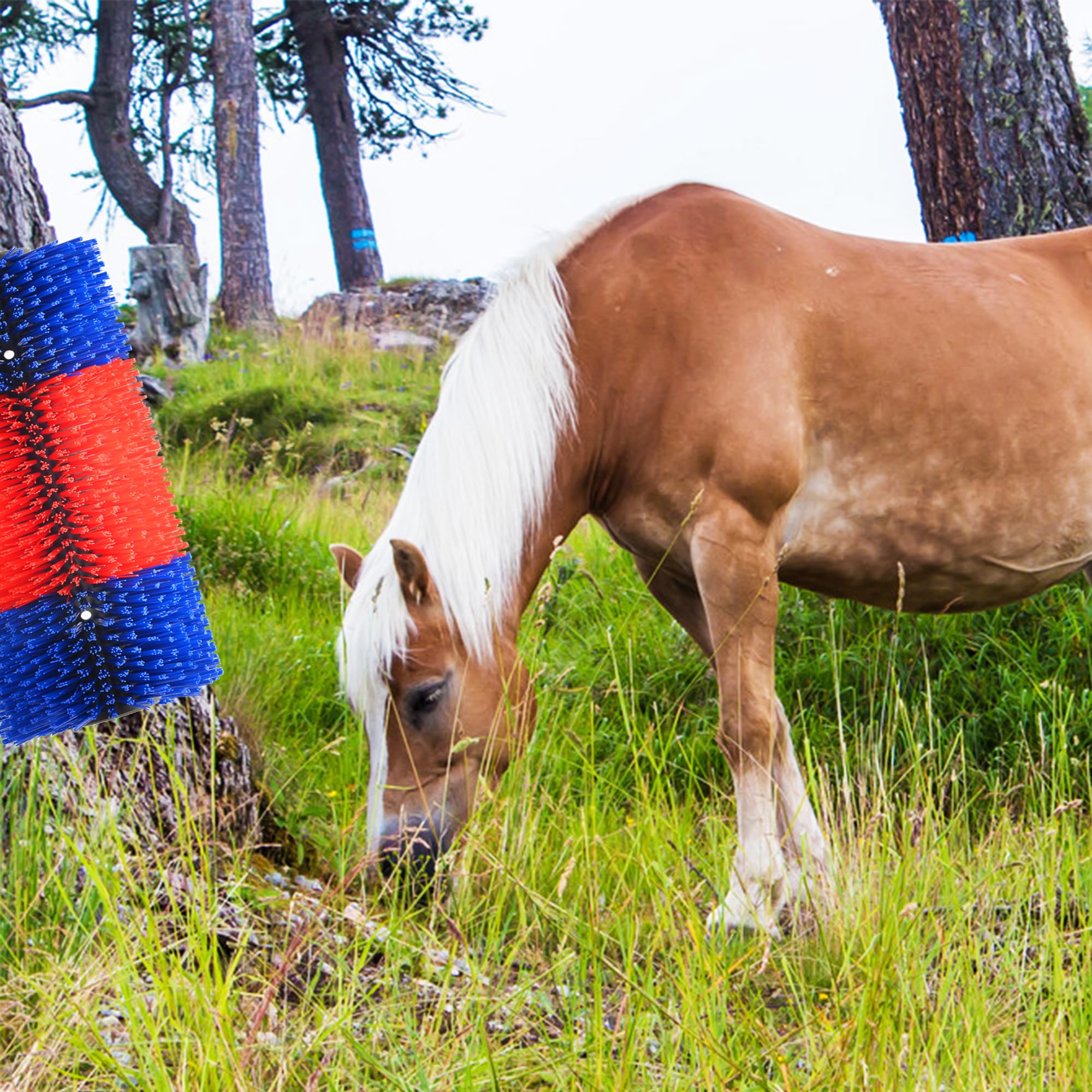 4 cepillos para rascar ganado, herramienta antipicazón para ganado, cepillos de caballo, alivia la picazón de espalda en el ganado, adecuado para caballo, ganado, cerdo, oveja (rojo)