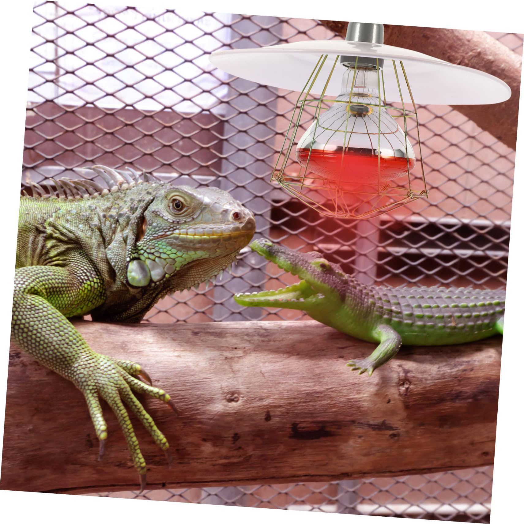 Lampada Riscaldante per Gabbie Animali Domestici 250w Copertura in Rete Resistente, Luce Sicura per Rettili e Bestiame, Set 4-in-1 per Allevamento in Ambienti Colore Casuale