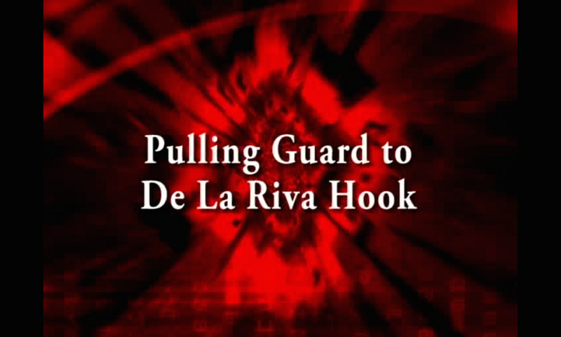 BJJ De La Riva Guard - Brazilian Jiu Jitsu Best Sweeps:Amazon.com ...