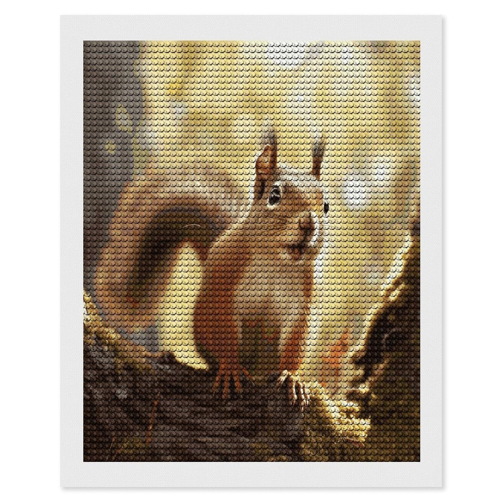 FekiLoot Funny Squirrel Diamond Art Kits for Adults Diamond Painting Kits for Beginners DIY Diamond Art Kits Round Full Drill Diamond Dot Gem Painting for Home Wall Decor Gift 16"x20"