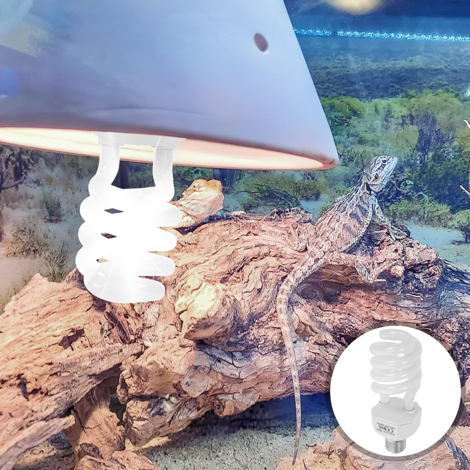 Hemobllo Lámpara Uvb para Reptiles Luz Ultravioleta 10w y 26w para Terrarios de Dragón Barbudo y Tortugas, Vidrio y Metal para Iluminación Uniforme en Terrarios Desérticos