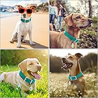 Vista 76 de Wisedog Waterproof Dog Collar: Multiple Adjust 7" to 23.6", Soft Rubber Coated Webbing, Easy to Clean, for Small Medium Large Dogs