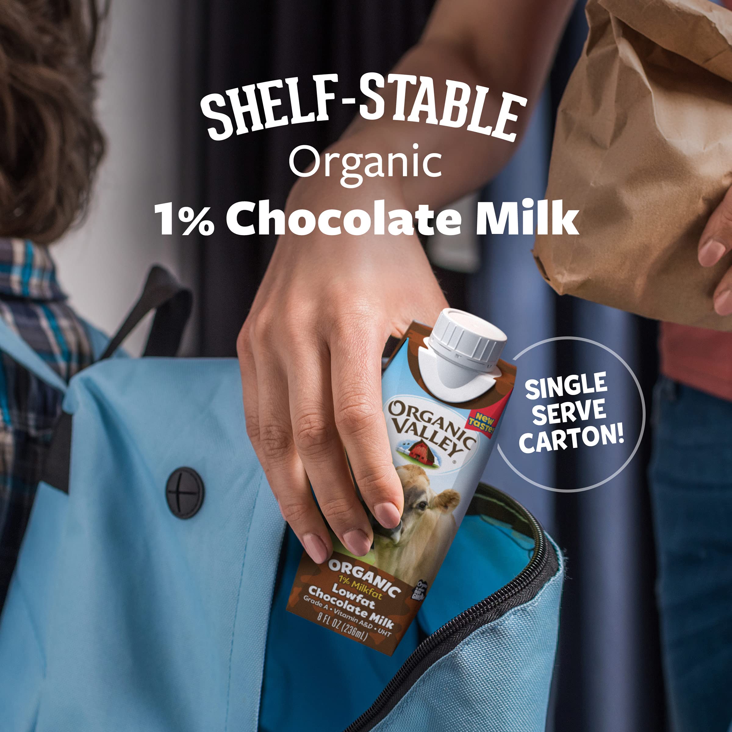 Organic Valley 1 Lowfat Shelf Stable Organic Chocolate Milk