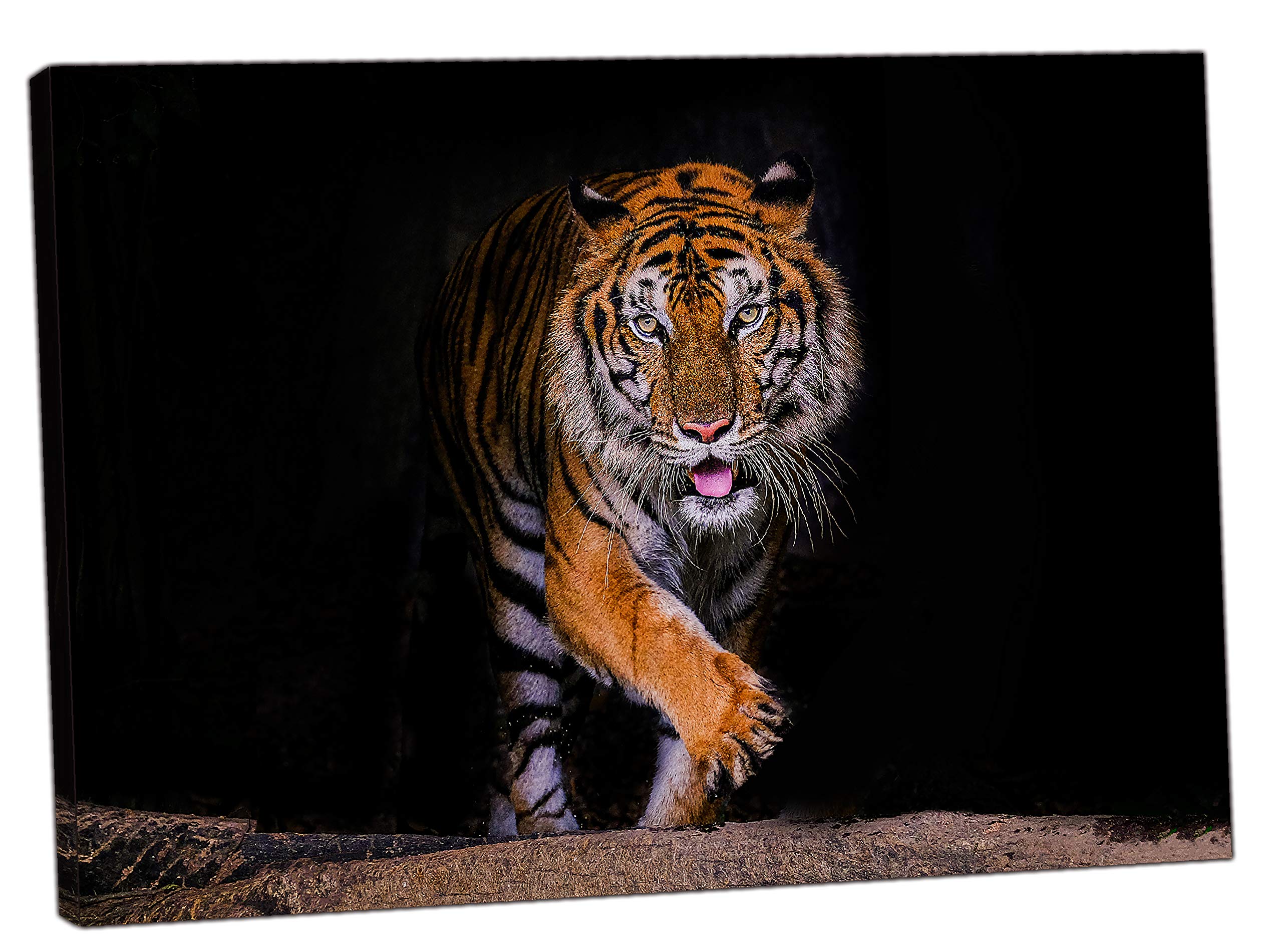 Impression sur toile encadrée Big Tiger/Wild Life, Toile en tissu., 30’’ x 20’’ inch( 76x 50 cm ) -38mm depth