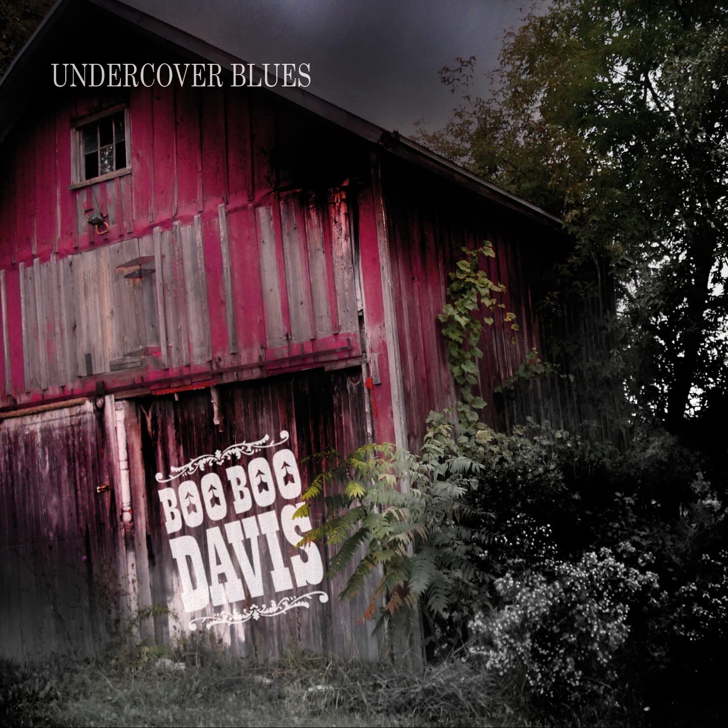 Undercover Blues