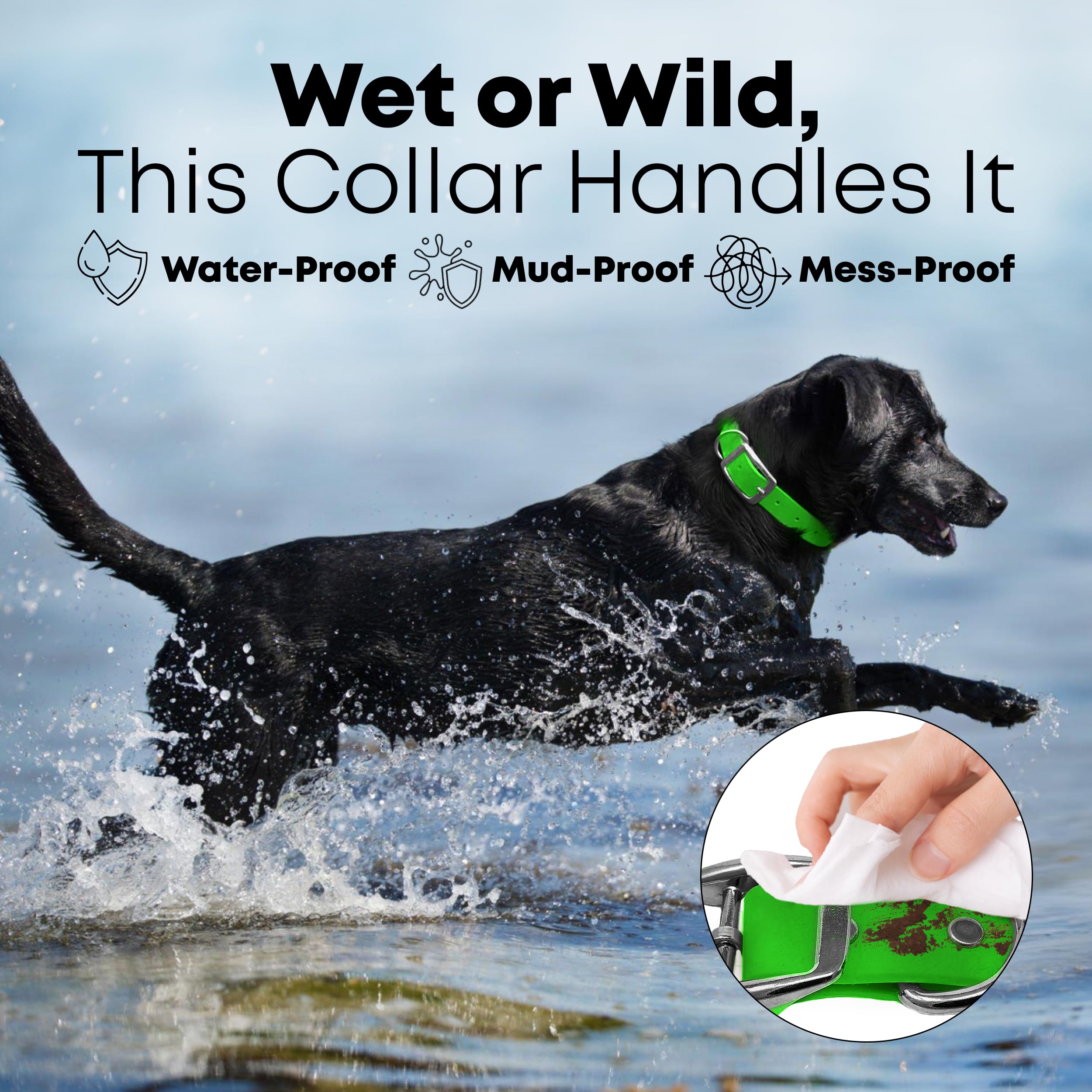 Regal Dog Products Collare e guinzaglio per Cani Resistenti all'Acqua Verde - Fettuccia Rivestita in Vinile su Misura, Doppia Fibbia e Anello a D per Cani di Taglia Media