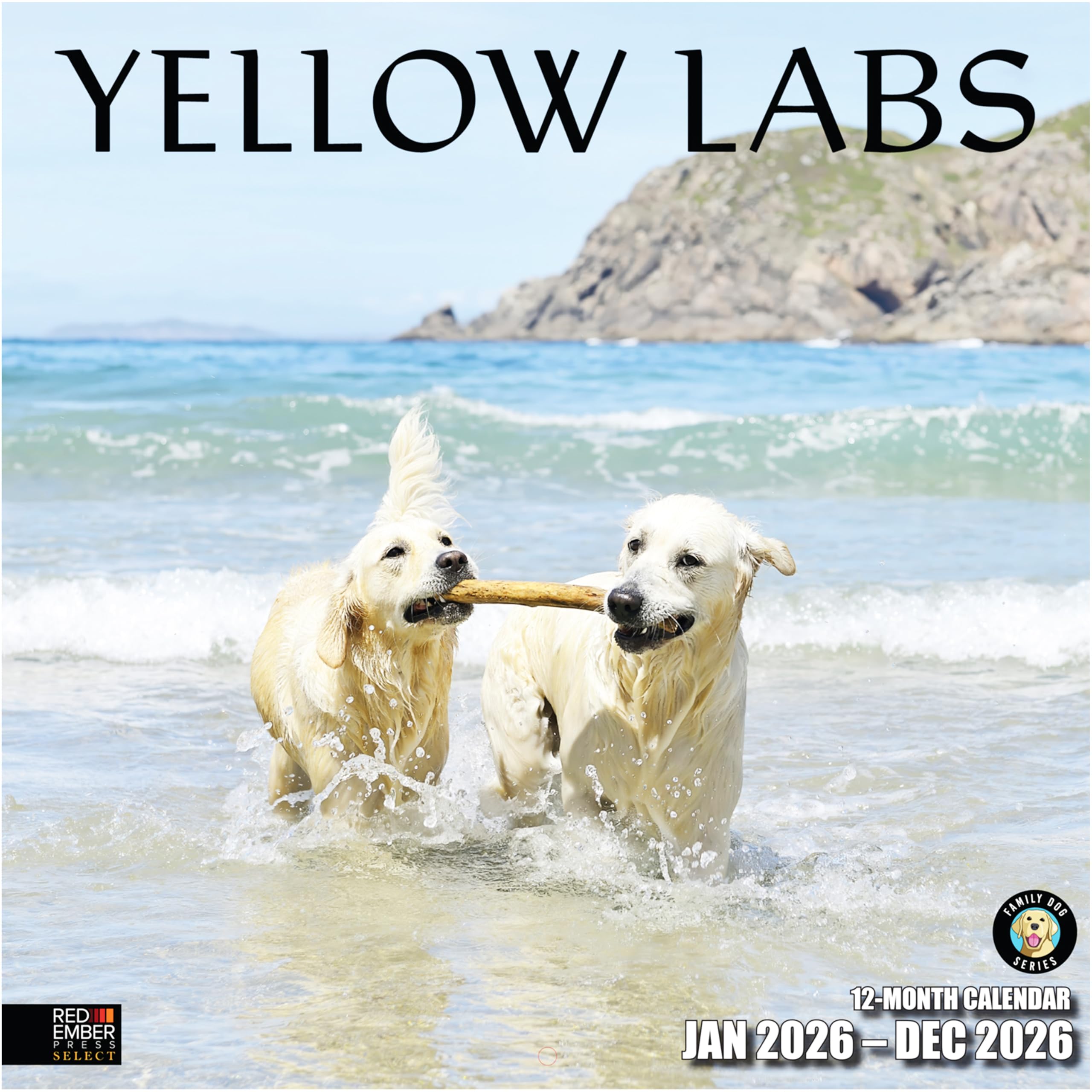 RED EMBER Select - Yellow Labs 2026 Wall Calendar 12 Month | 12" x 24" Open | Thick &amp; Sturdy Paper | Giftable | Cute Labrador Retriever Puppy Dog Calendar 2026