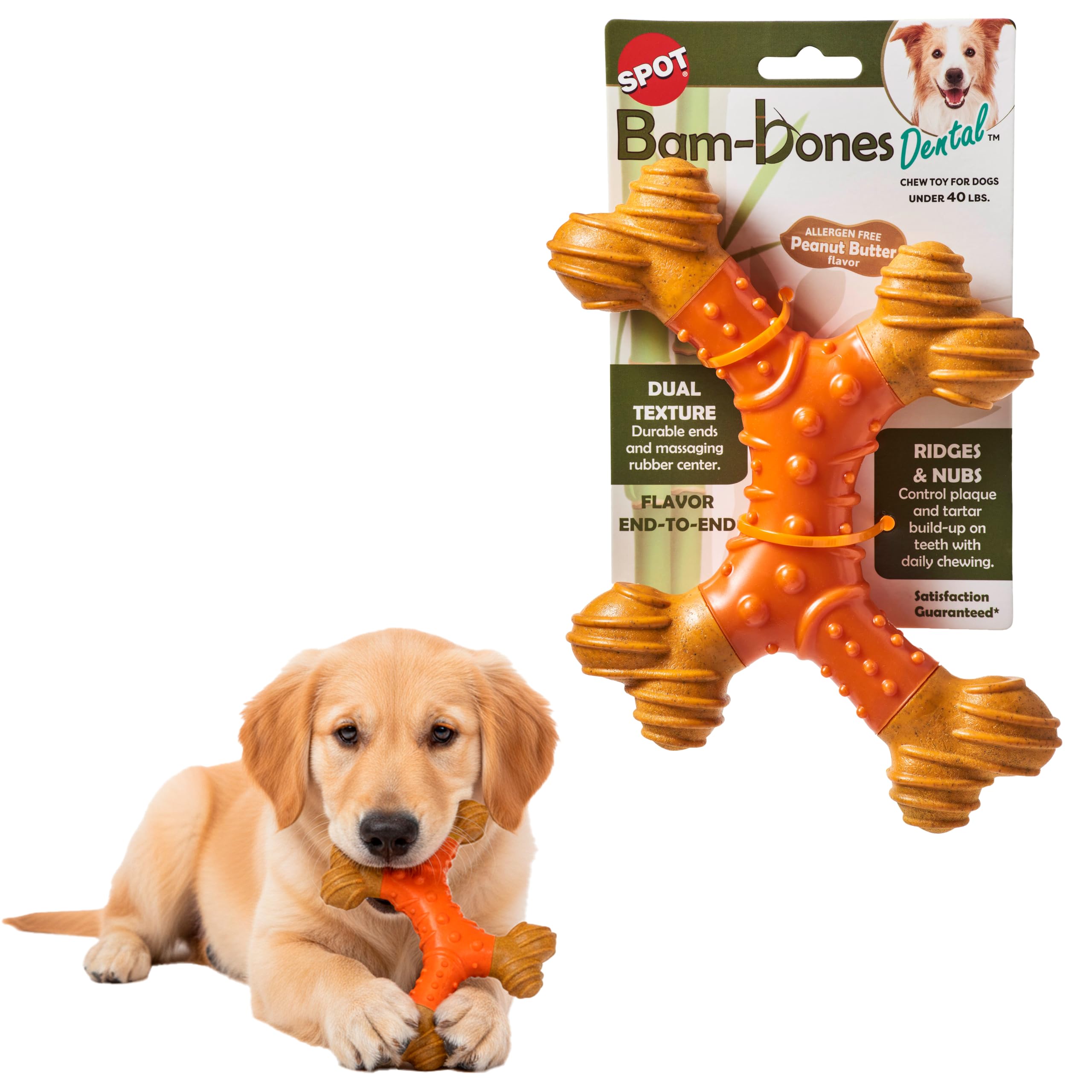 SPOT Ethical Products Bambone Dental X-Bone 8" / Dog Toys for Aggressive Chewers | Dog Chew Toy | Bone | Chew Toys for Aggressive Dogs | Interactive Dog Toy/Peanut Butter