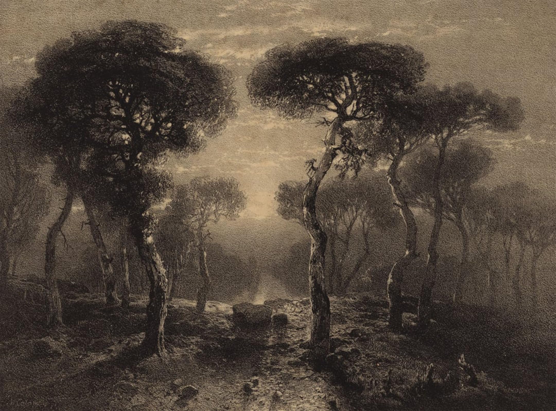 POSTERIIk Vintage Art Print Images Pictures Print Landscape with Trees by Alexandre Calame Modern Colour Posters for Office Home Decor 60x90cm
