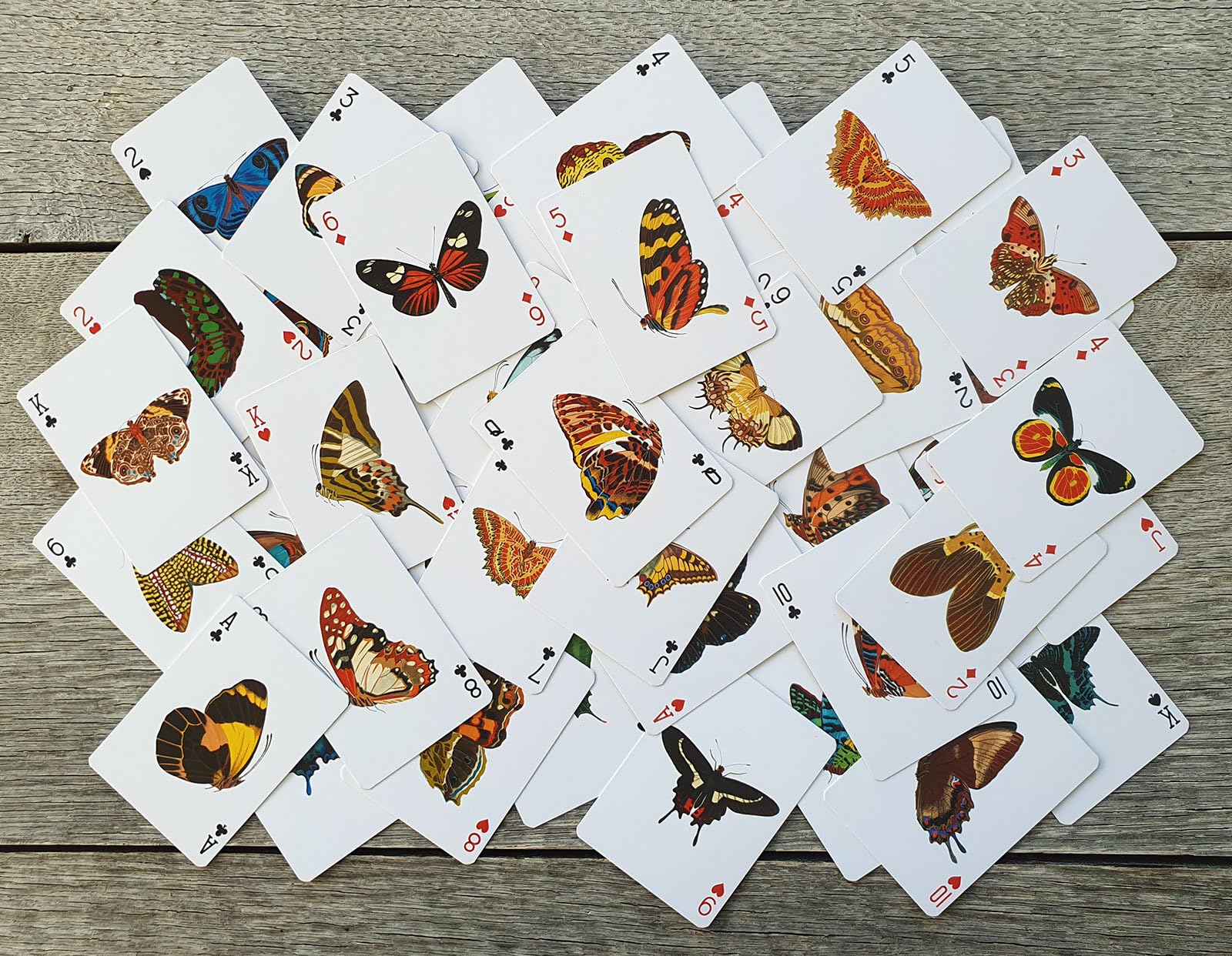 レアデック　Butterfly Butterfly Playing Cards Summer Edition – Rare Playing Cards