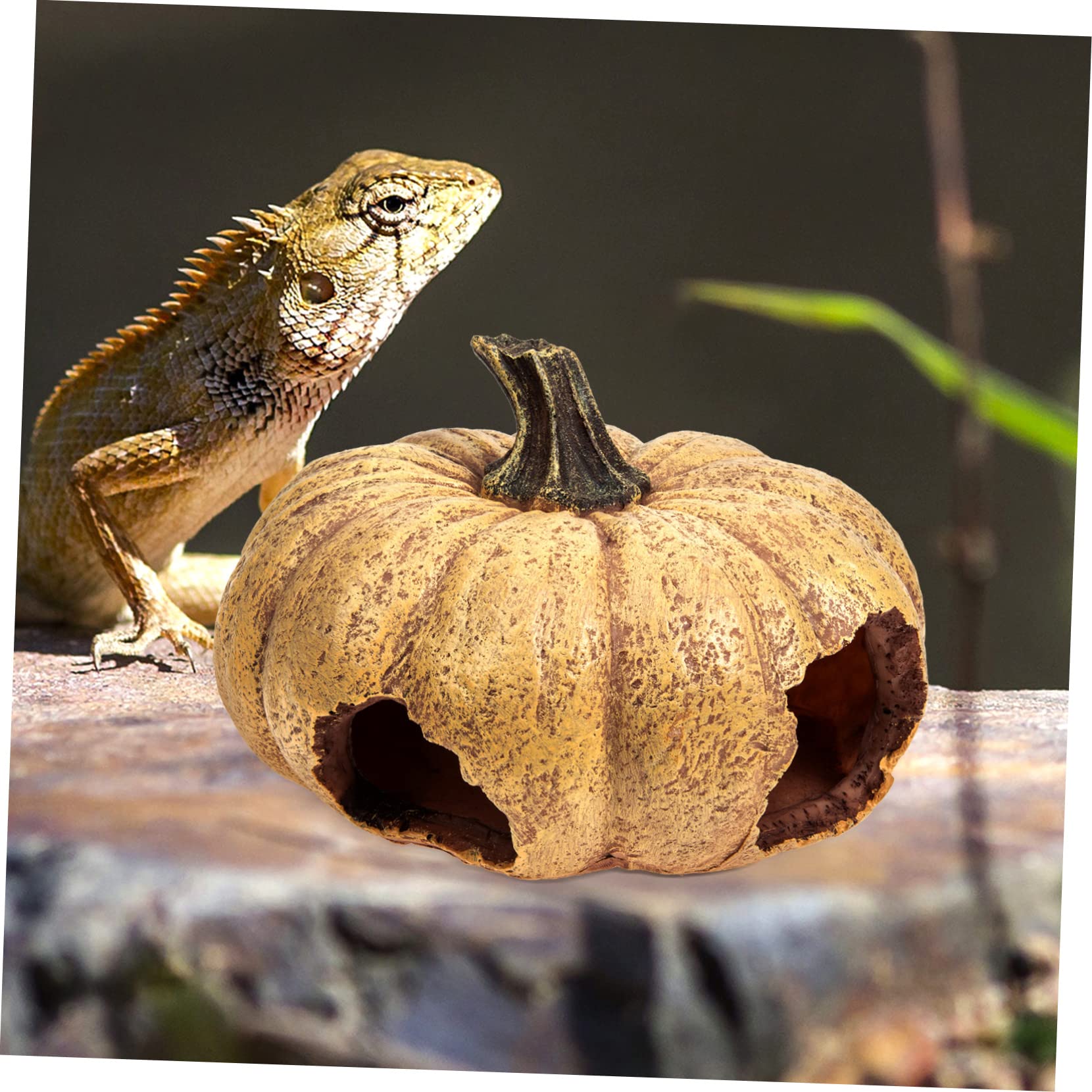 Angoily Terrario Decorativo De Calabaza para Reptiles Escondite Natural para Terrarios y Acuarios Accesorio Lifelike para y Pequeños Animales