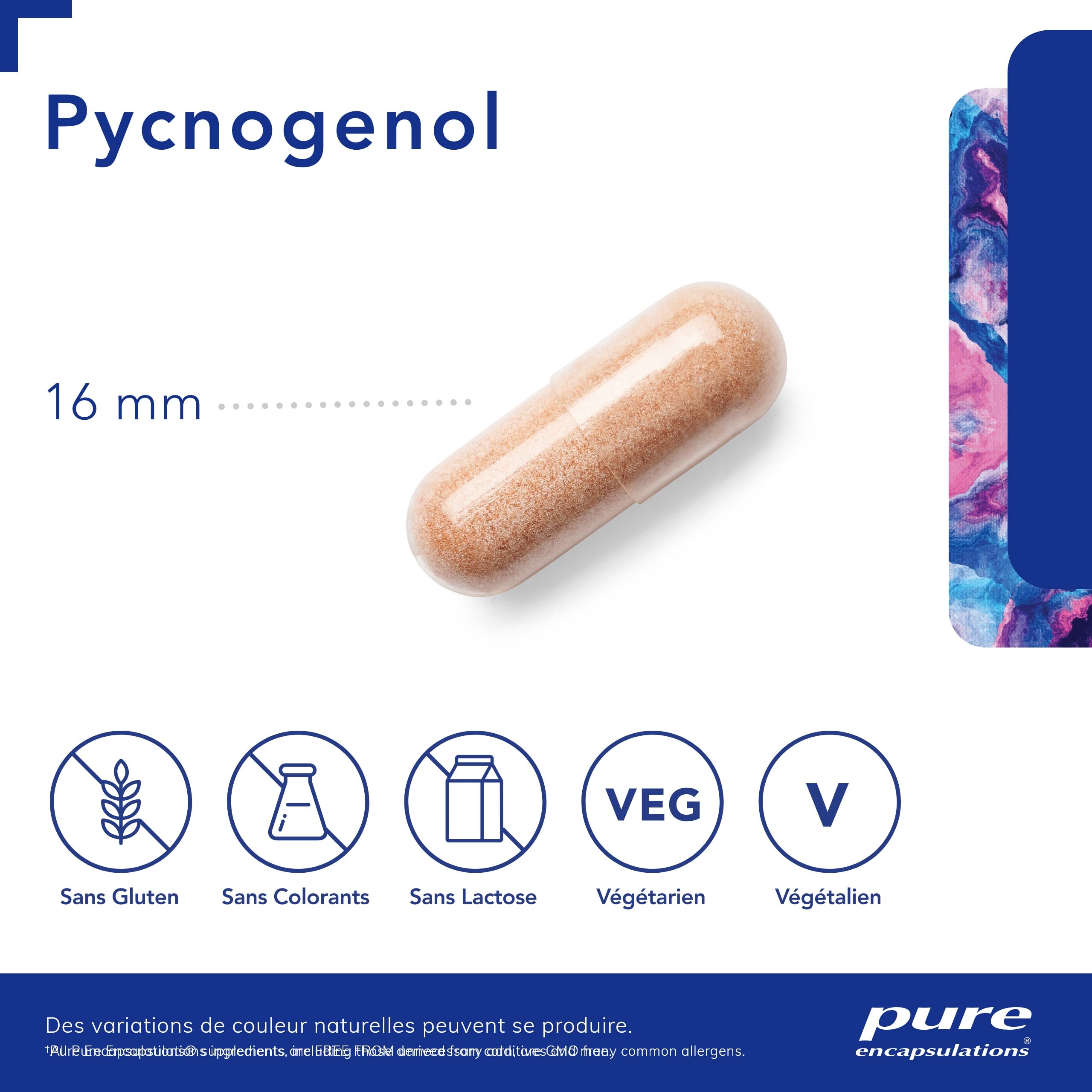 Pure Encapsulations - Pycnogenol - Extrait Naturel de Pin Maritime Titré - Contribue à Maintenir l'Élasticité de la Peau & Une Bonne Circulation - 60 Gélules Véganes
