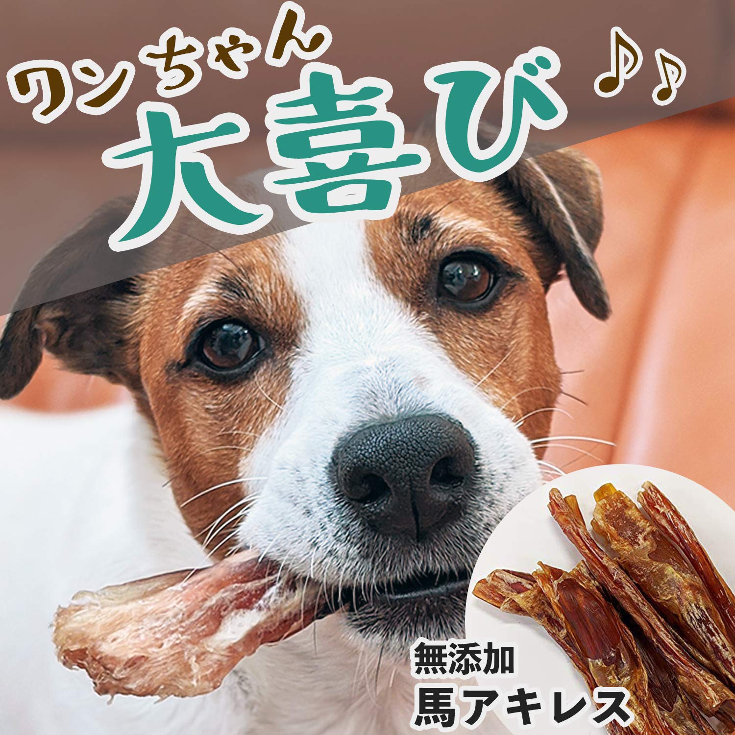 Amazon.co.jp: 国産 馬アキレス 約200g 薄型ハーフサイズ 完全無