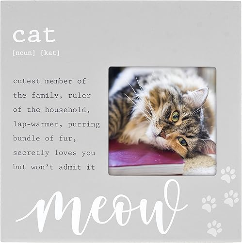 Malden International Designs - Marco de fotos gris con definición de gato de 4 x 4