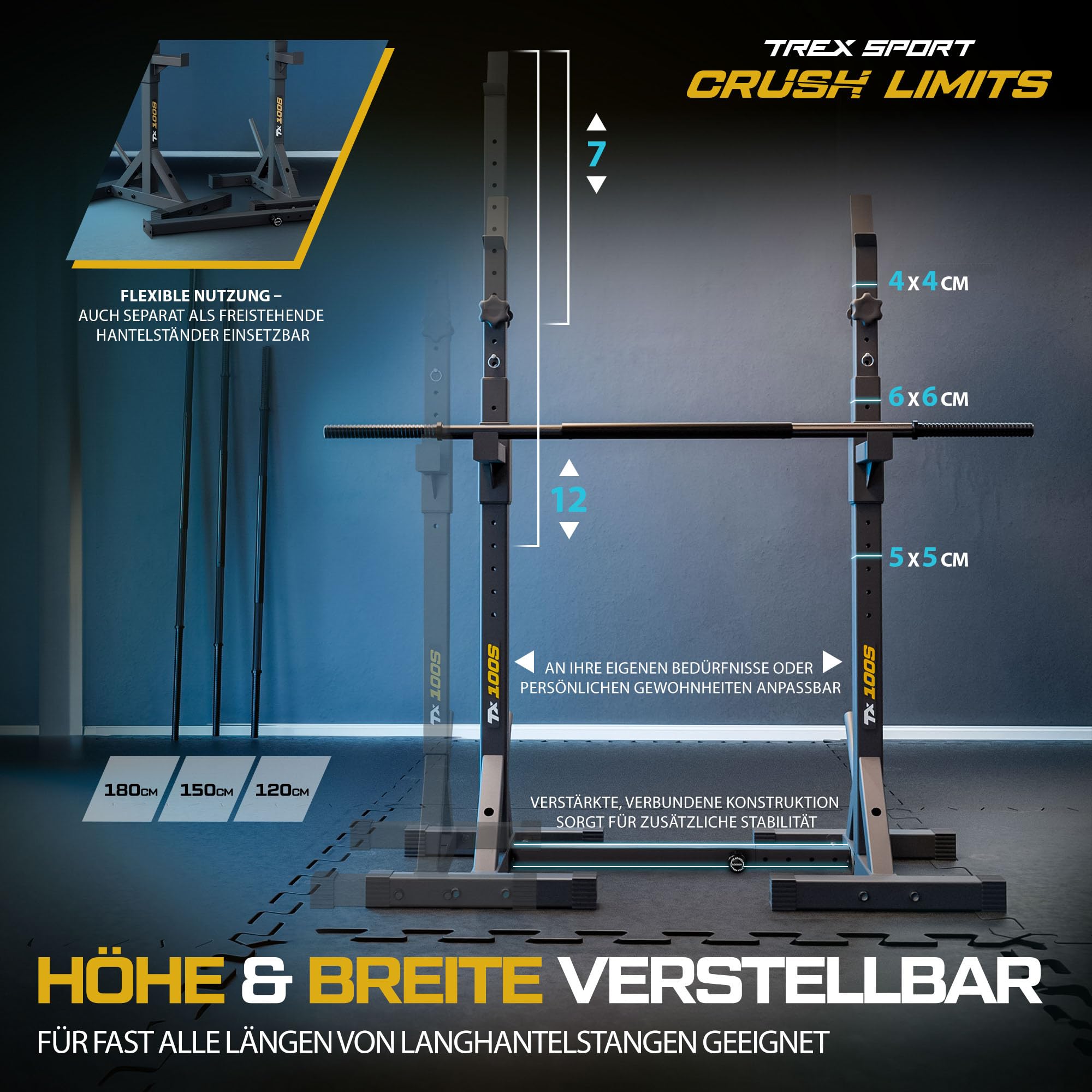 TREX SPORT Langhantelständer Squat Rack Dip-Griffen bis 250 kg TX-100S | Hantelablage höhenverstellbar mit Sicherheitsablage, Hantelscheibenaufnahmen aus Metall