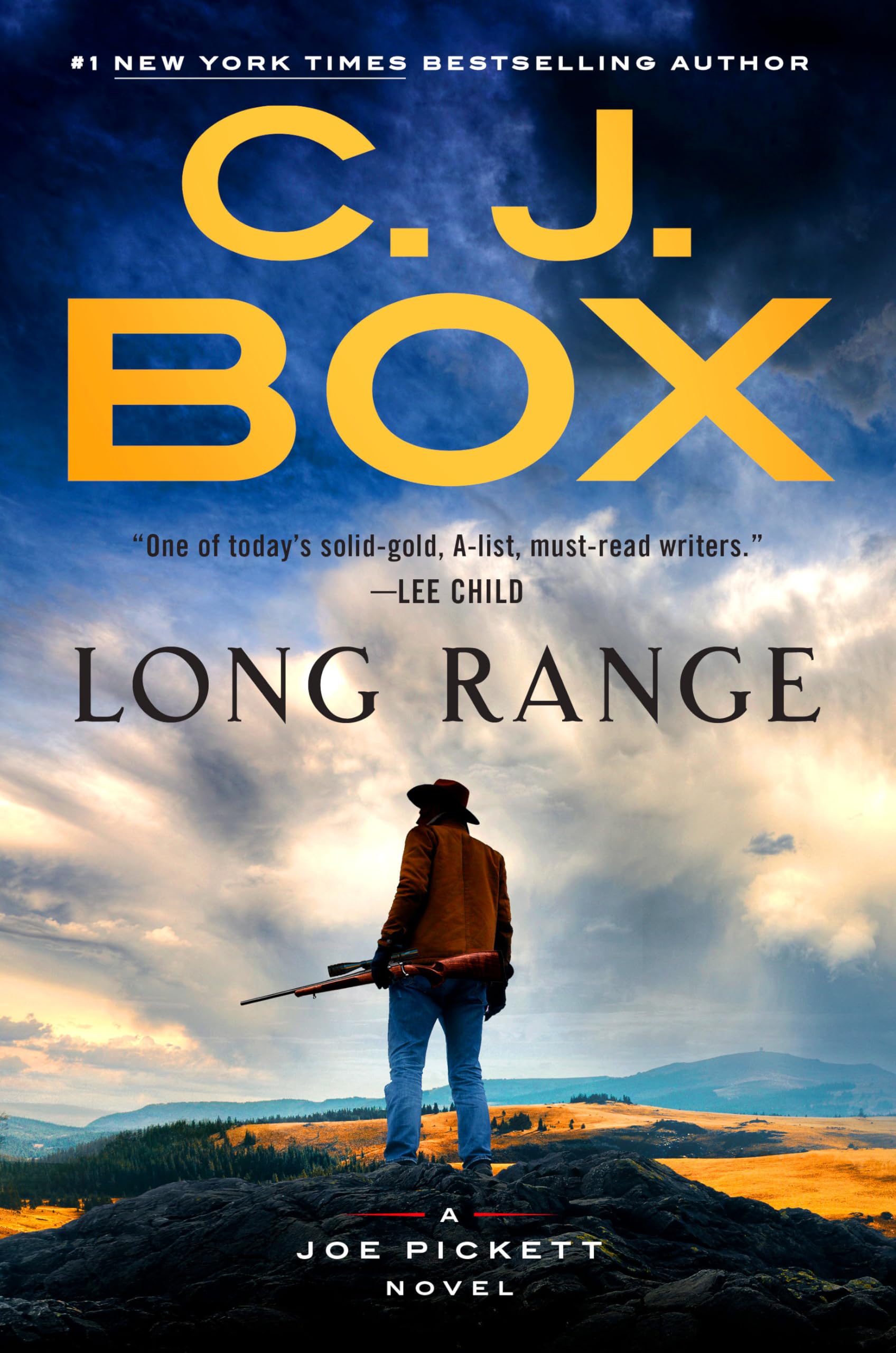 Buy Long Range: 20 (Joe Pickett) — BookShops.in