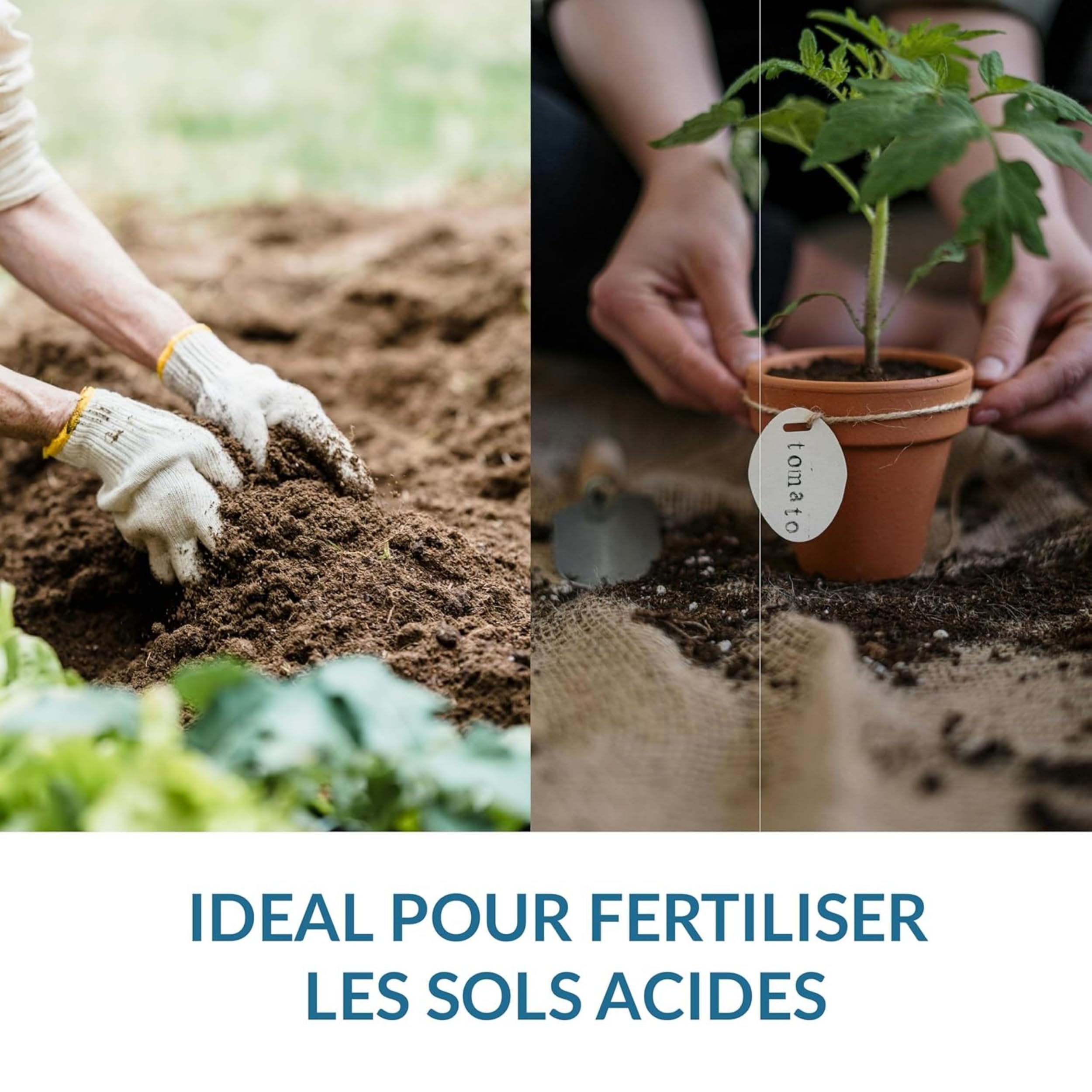 Beutel mit 500 g Graukalkpulver, für Arbeit, Gartenarbeit, Rasenpflege und Landwirtschaft (500 g grau)