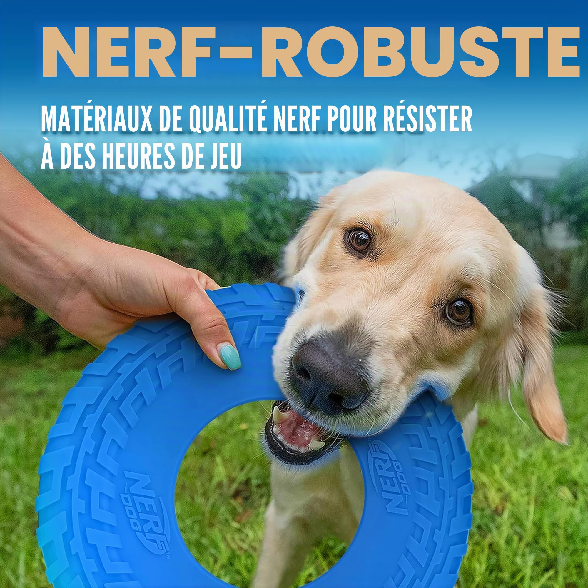 Nerf Dog Jouet pour chien en caoutchouc - Disque volant léger et durable - Flotte dans l'eau - Idéal pour la plage et la piscine - 25,4 cm de diamètre - Pour chiens de taille moyenne et grande - Unité