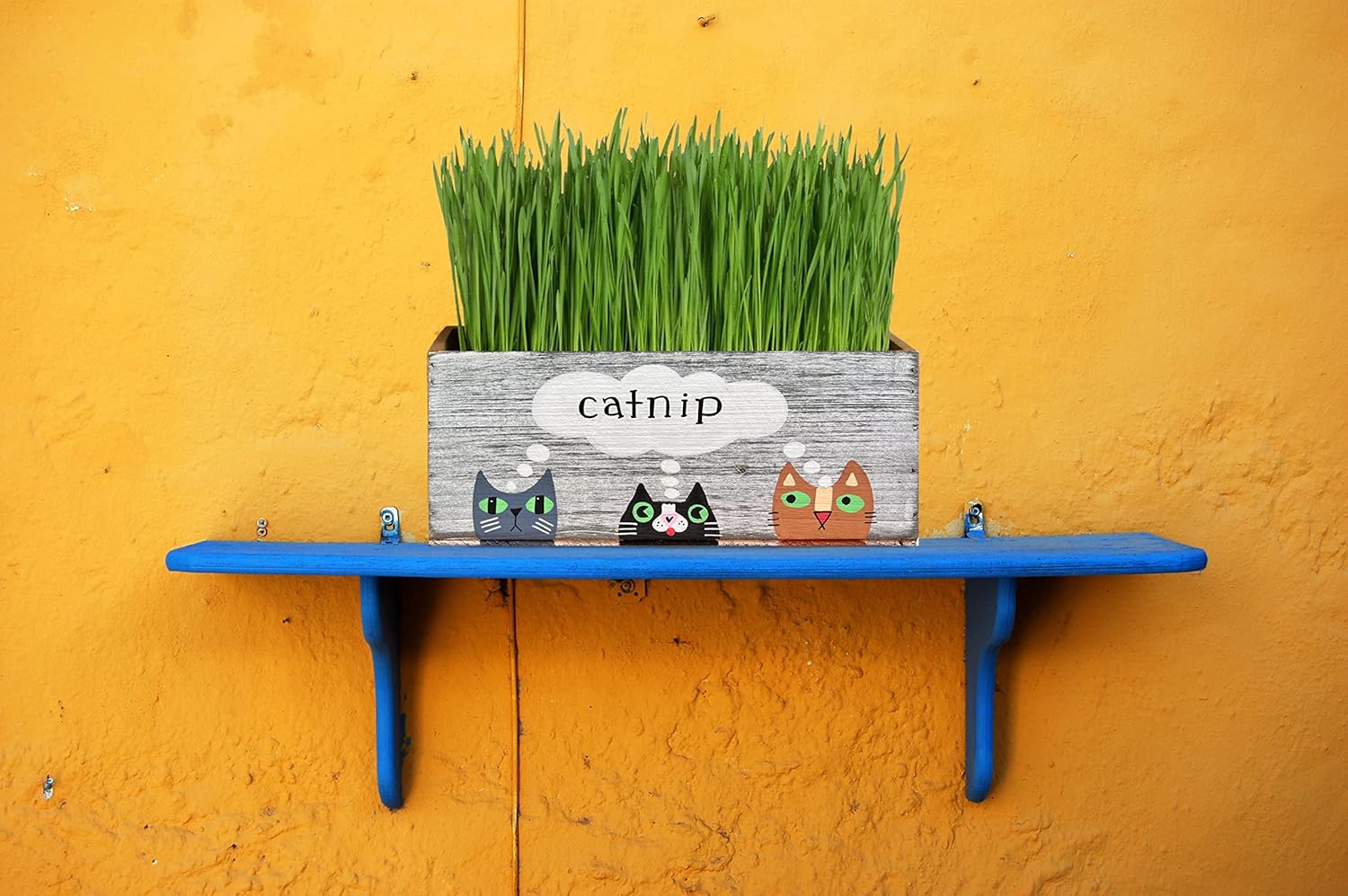 Catnip Planter, Cat nip Decorative Box for Plants, Cat Toys, Treats, Gift for Cat Lovers