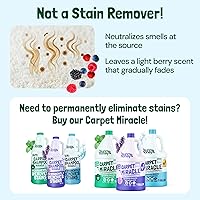 Vista 6 de Sunny & Honey Desodorante en polvo para alfombras, camas de mascotas y asientos de coche, eliminador de olores de bayas para orina de gato y olores