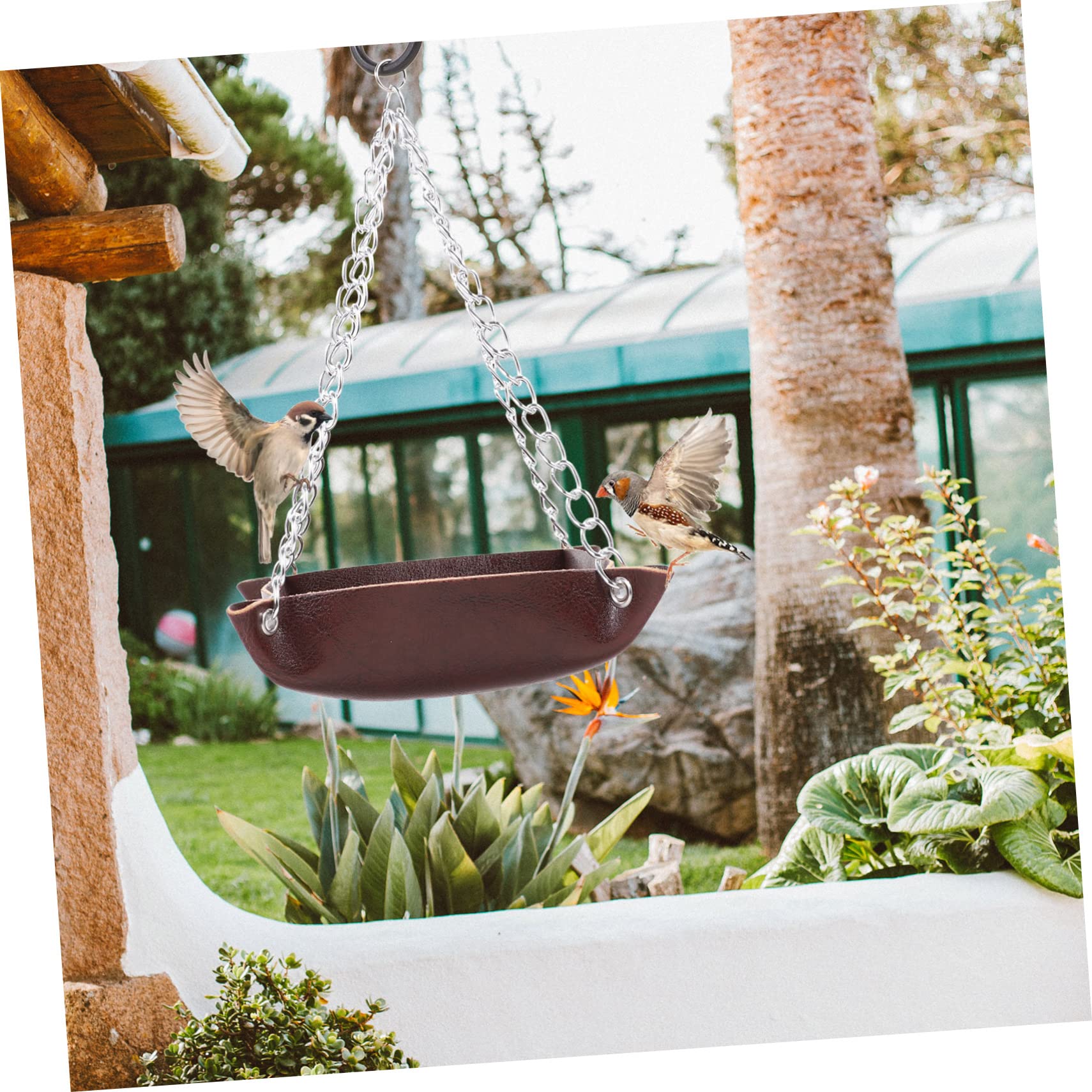 BESPORTBLE 4 Pz mangiatoia per colibrì pannello finestra della mangiatoia per uccelli mangiatoie per uccelli bird feeder contenitori alimentatore trasparente Contenitore di cibo abs Coffee