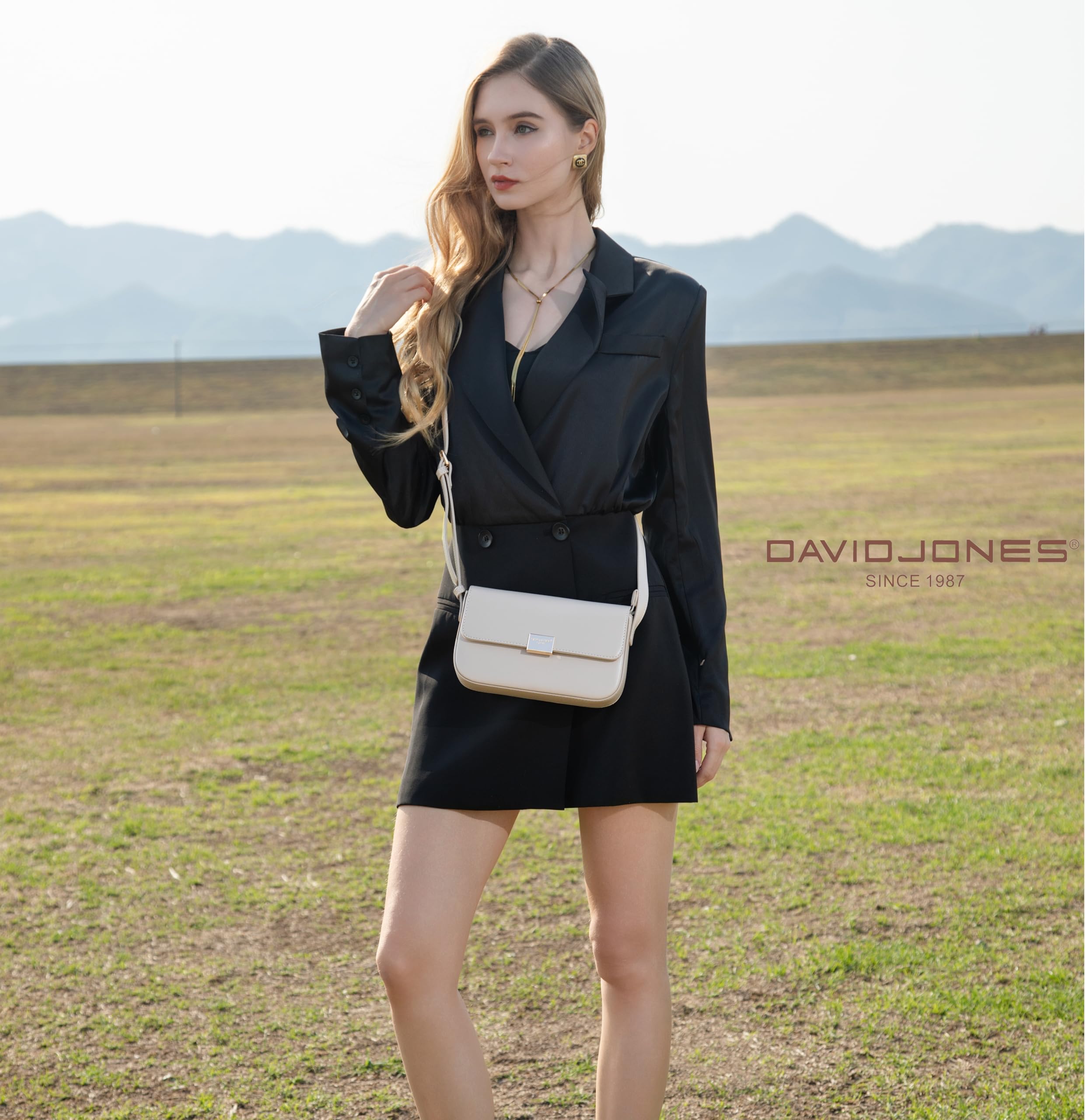 David Jones - Damen Kleine Umhängetasche - Schultertasche Feste PU Leder - Handtasche mit Klappe - Crossbody Bag Tasche für Alltag - Modisch Elegant Stilvoll Abendtasche Arbeit Freizeit