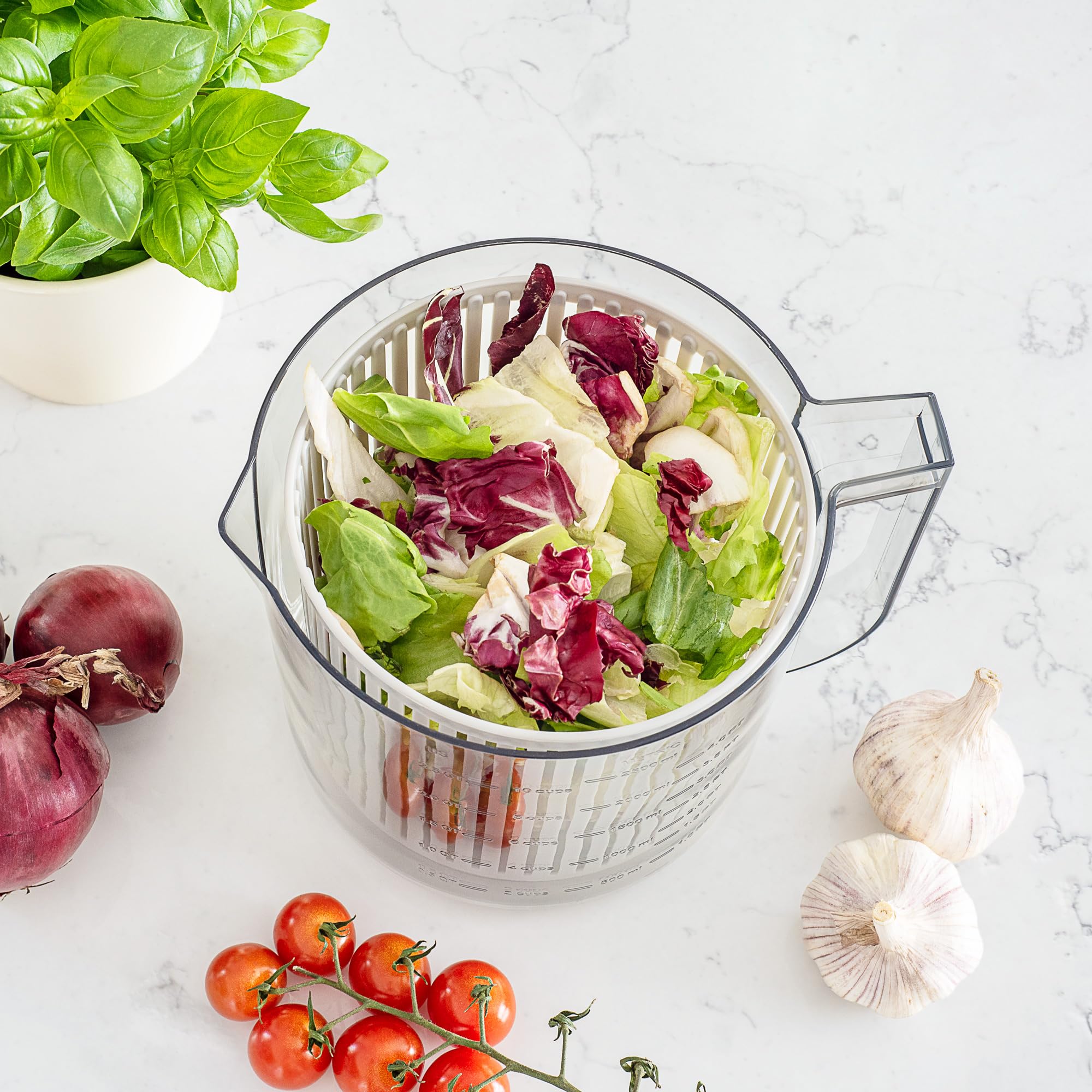 Teesa Centrifugadora de ensalada TSA0200 2,5 L