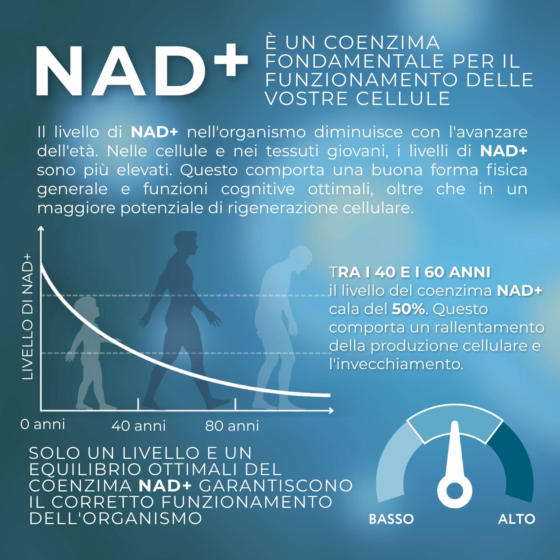1-MNA Brain, Integratore Anti-Età, Ottimizza Naturalmente NAD+ con Ginkgo Biloba, Zinco, Biotina, Vitamine C, B1, B5, B6, B12, Salute Cellulare, Memoria, Concentrazione, 30 Compresse