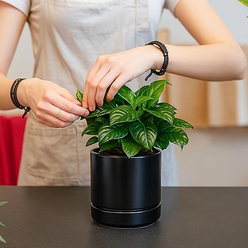 Miniatura 7 de D'vine Dev Juego de 4 macetas pequeñas de cerámica, maceta para suculentas de 4.7 pulgadas para plantas con orificio de drenaje y platillo, color