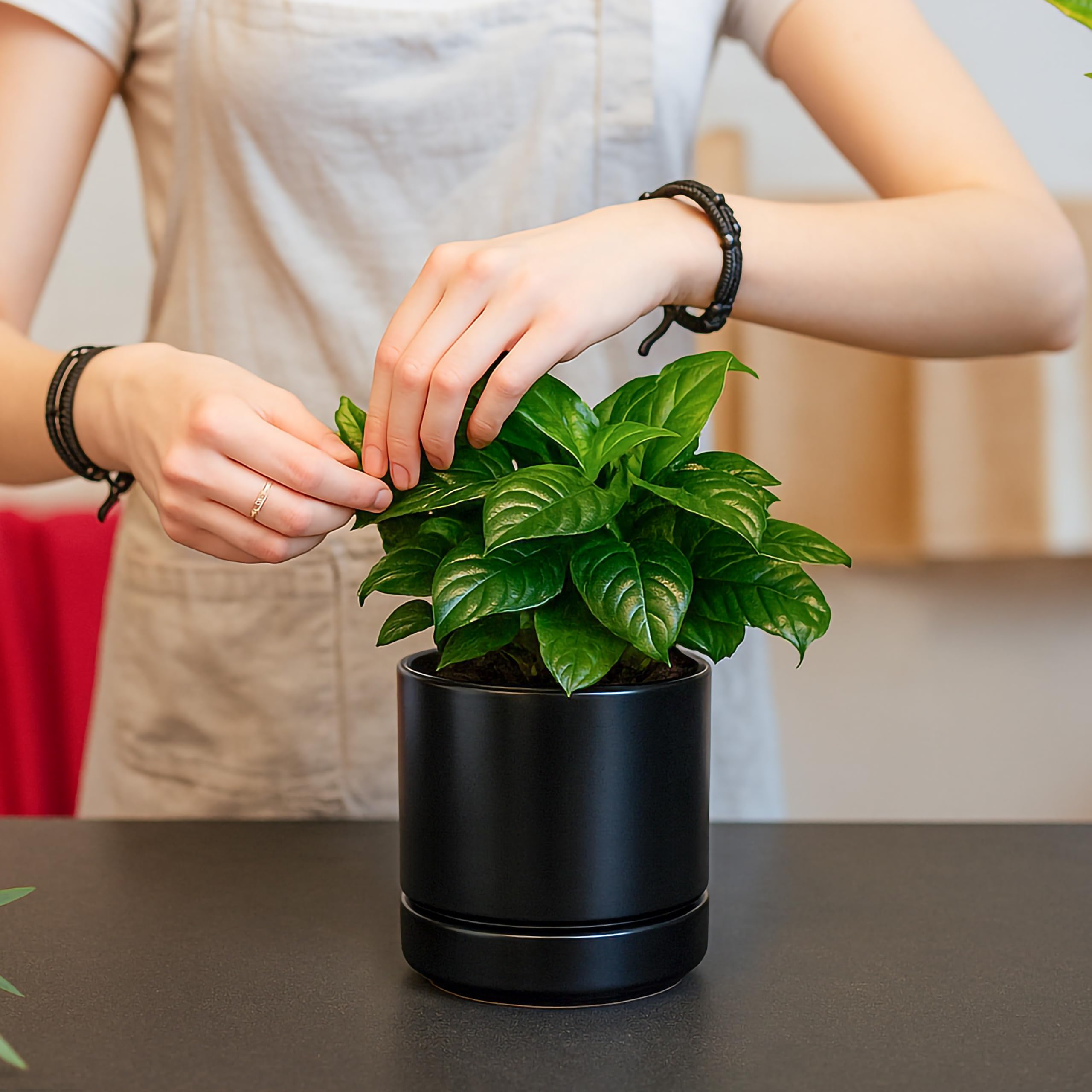 Amazon.com : D'vine Dev 4.7 Inch & 6.5 Inch Ceramic Planter Pots