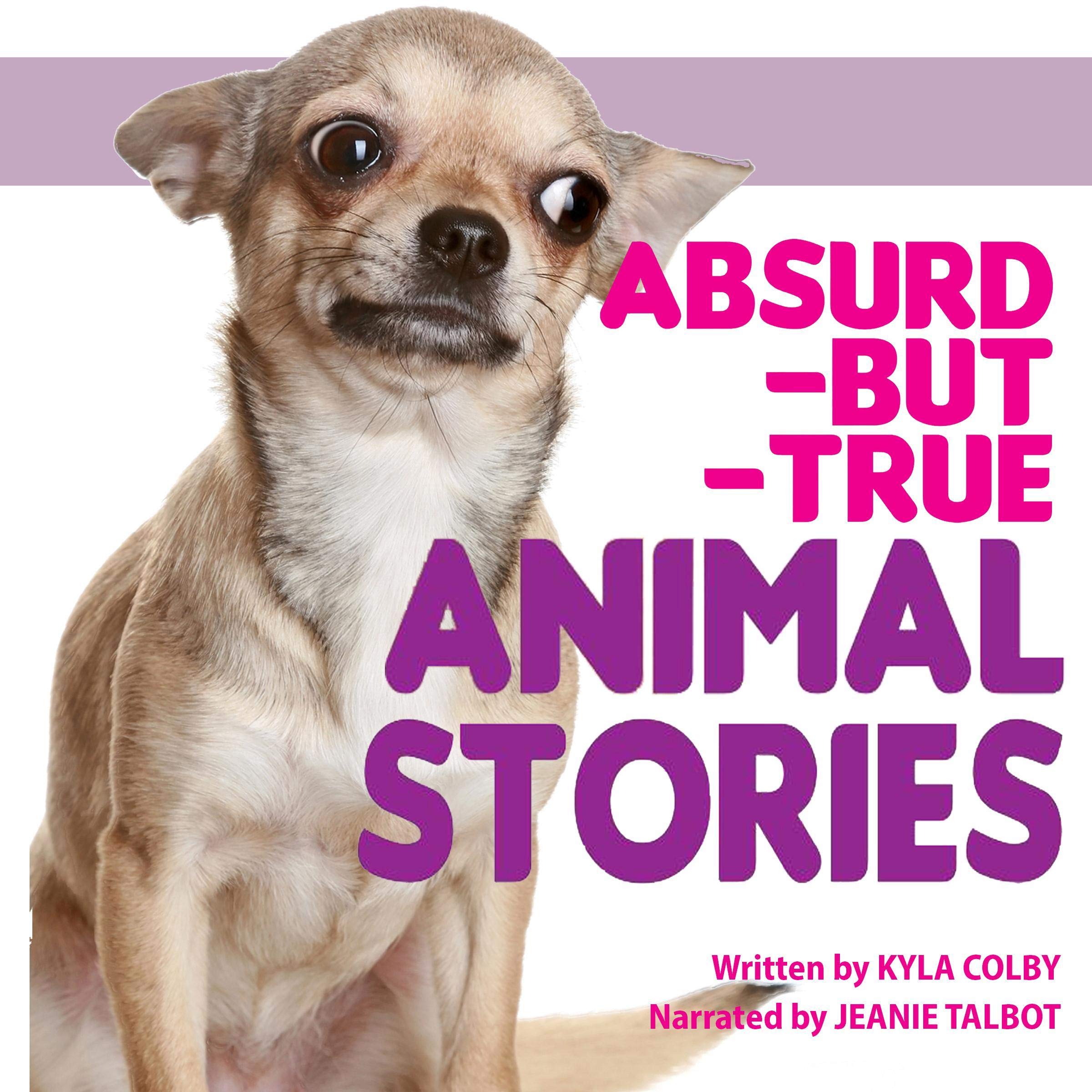 Cover art for Absurd-but-True Animal Stories
