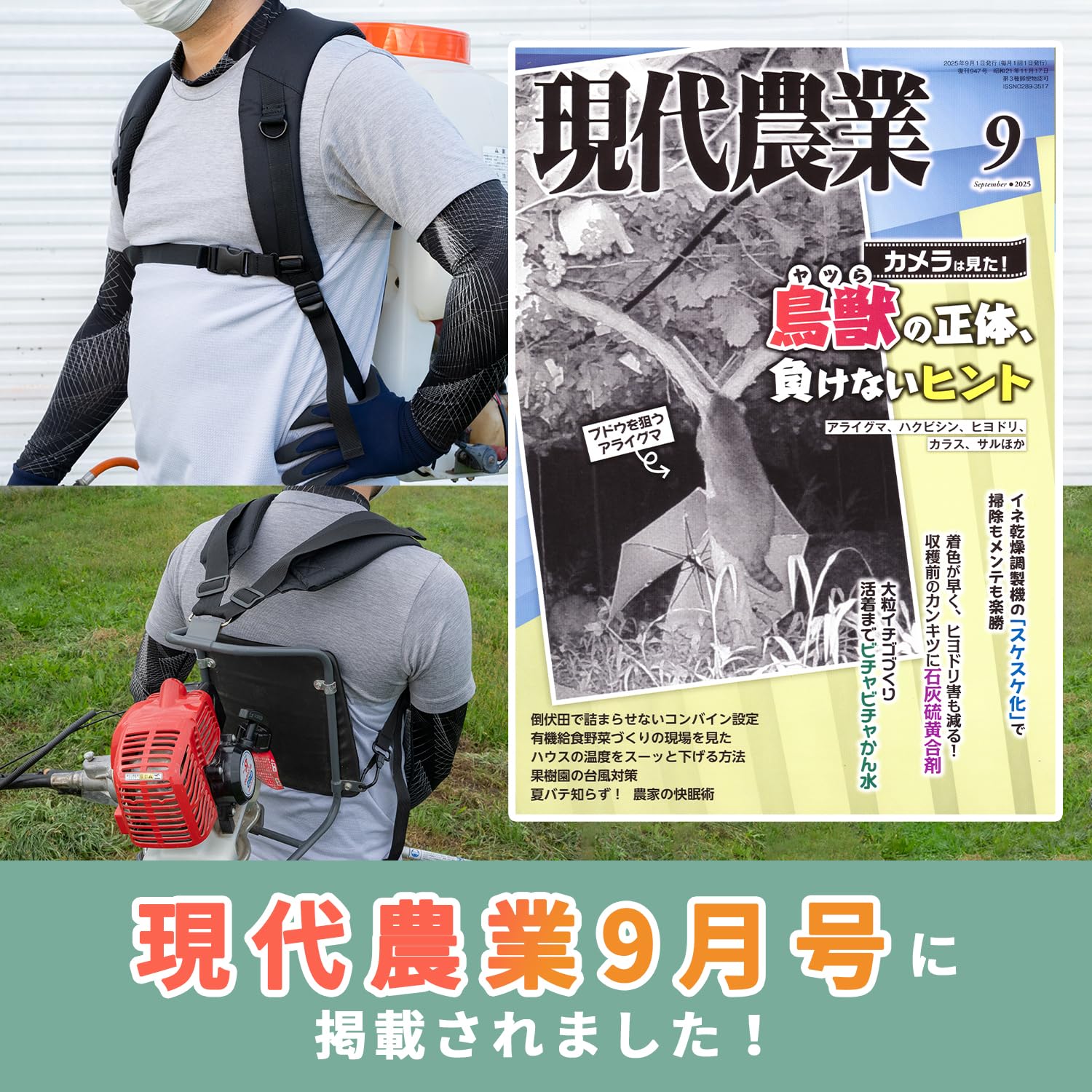 Amazon.co.jp: 【耐荷重30㎏｜現代農業掲載】 AHEART 背負いベルト 