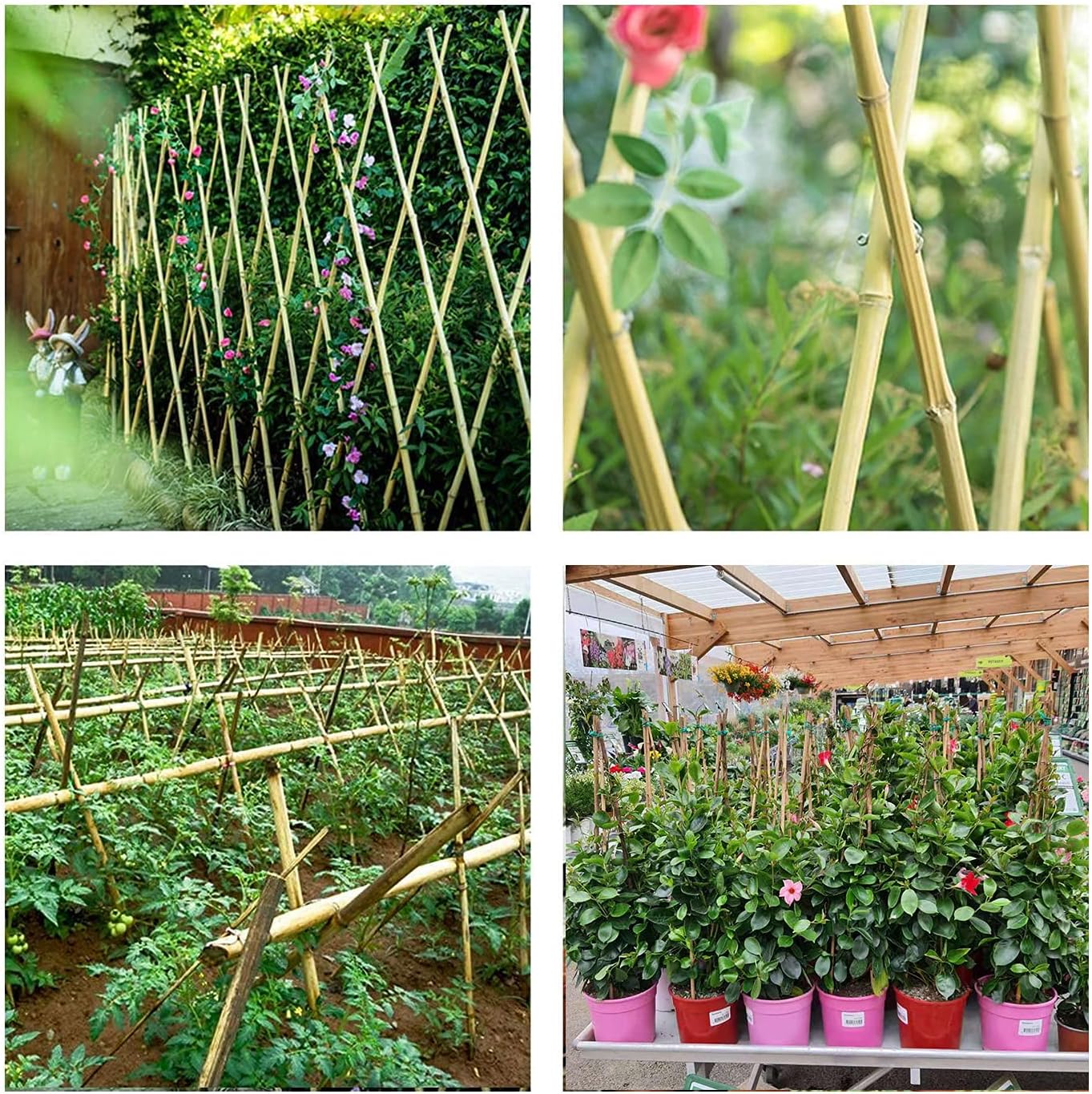 6ft Bamboo Garden Stakes Eco-Friendly Plant Stakes 6 Feet, Bamboo Poles for Tomatoes Beans Climbing Plants Support - Pack of 20 Bamboo Stakes
