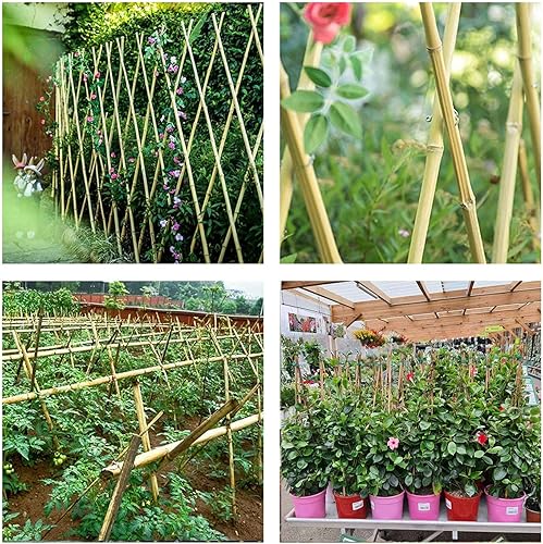 Miniatura 6 de Estacas de jardín de bambú de 6 pies con estacas de bambú natural de 200 pies de 0.118 in resistentes estacas de bambú para plantas de jardinería -