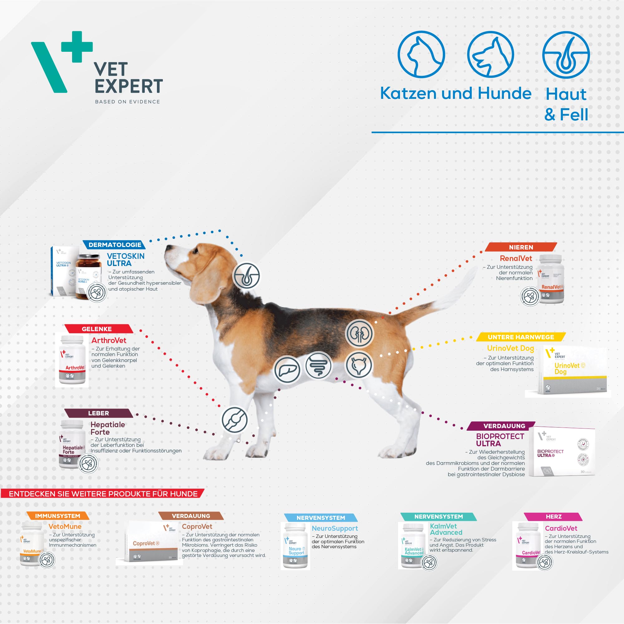 VETEXPERT VetoSkin | 90 Kapseln | Ergänzungsfuttermittel für Hunde & Katzen | Mit Omega-Fettsäuren & Biotin